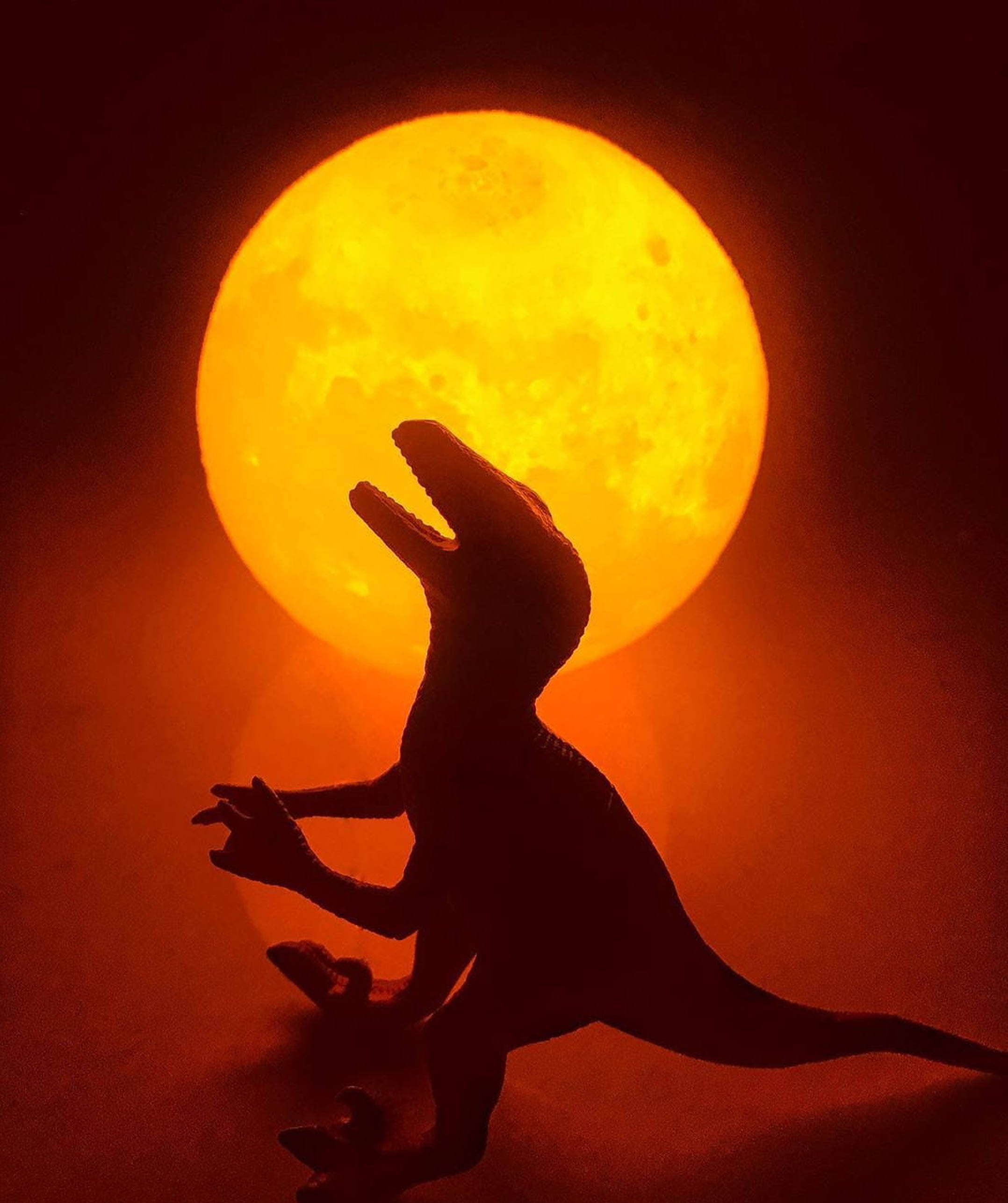 WhatsApp DP, sun dinosaur, glowing orange full moon, 2K Phone Wallpaper