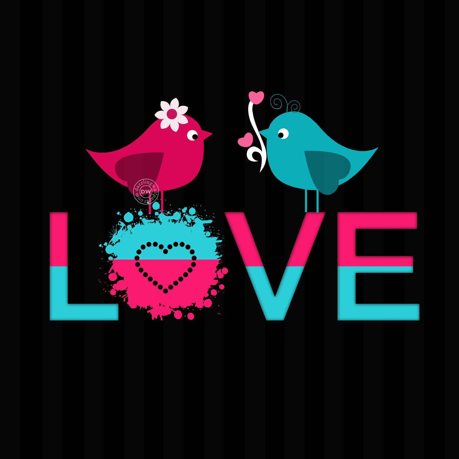 WhatsApp DP, love birds, pink, HD Desktop Wallpaper