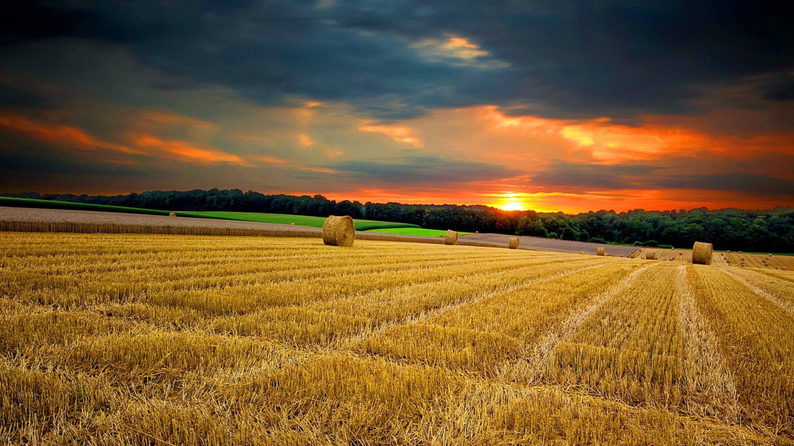 Country Summer Farm Sunset, golden harvested field, hay bales, 2K Desktop Wallpaper