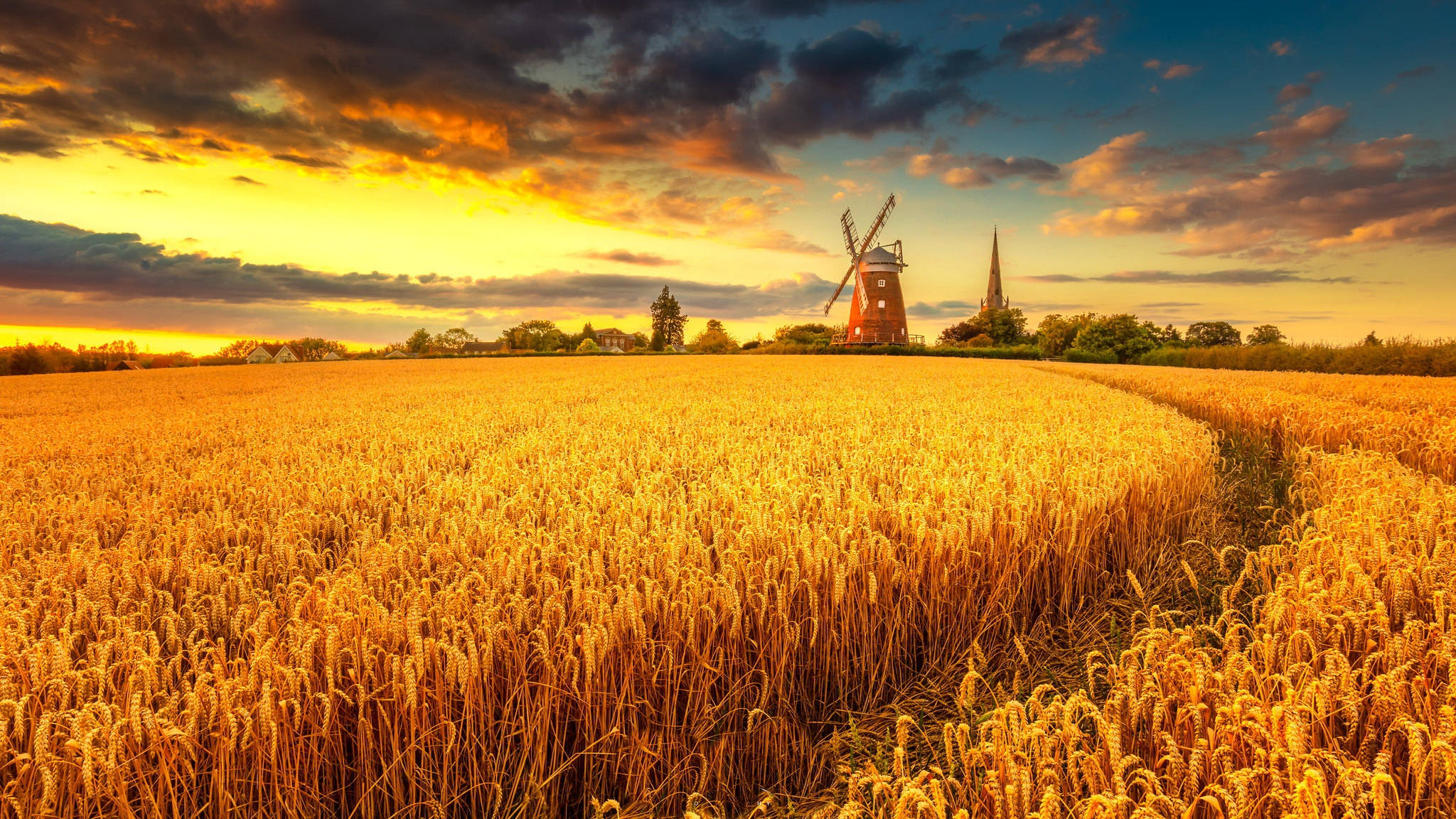 wheat field, windmill, sunset sky, Full HD Desktop Wallpaper