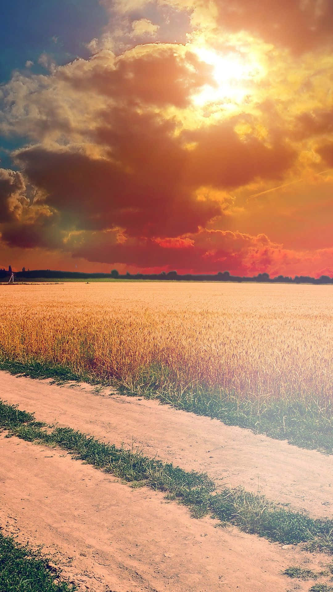 golden wheat field, fiery sunset sky, dramatic clouds, Full HD Phone Wallpaper