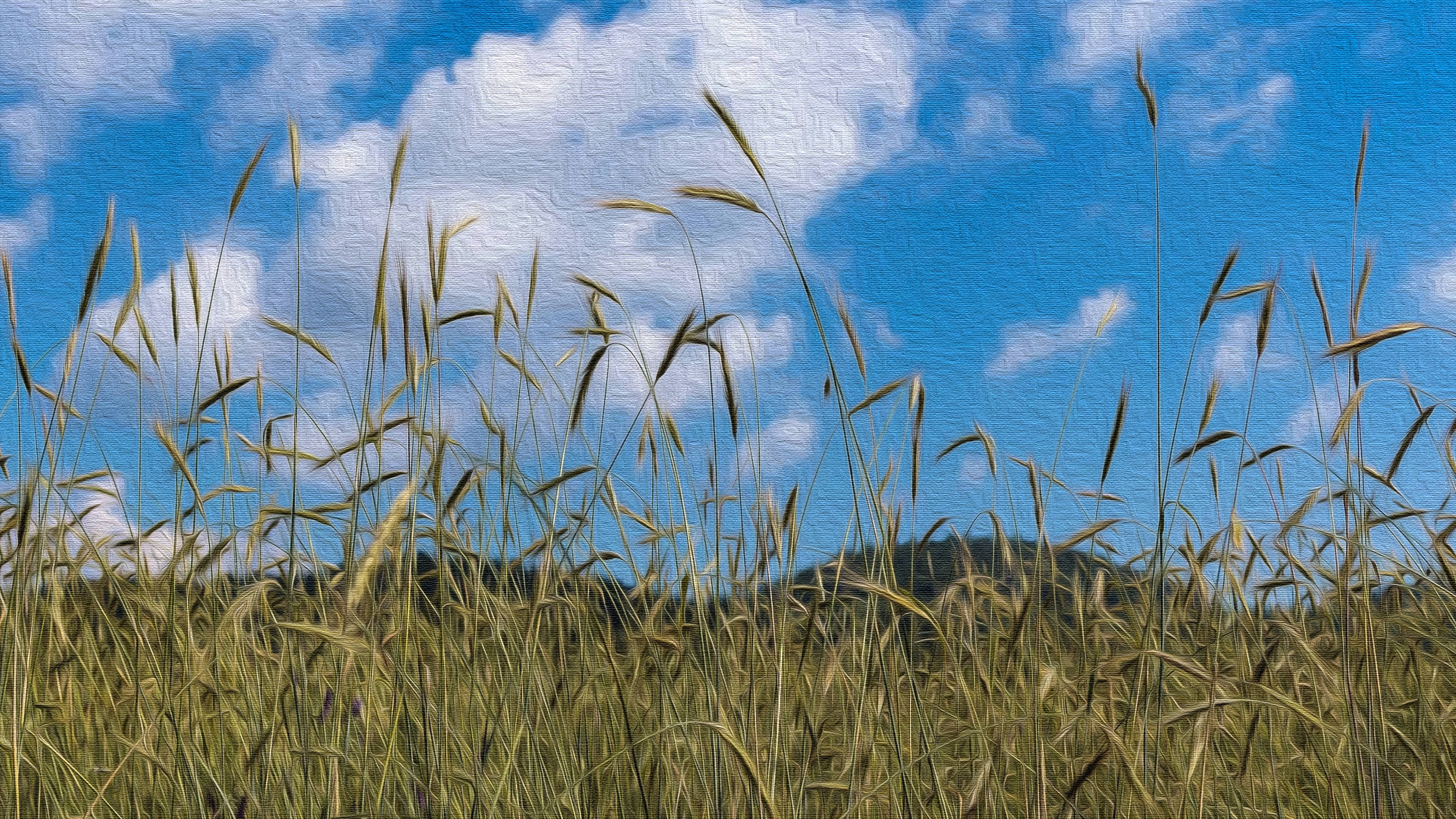 oil on canvas, wheat field, golden grasses, 4K Desktop Wallpaper