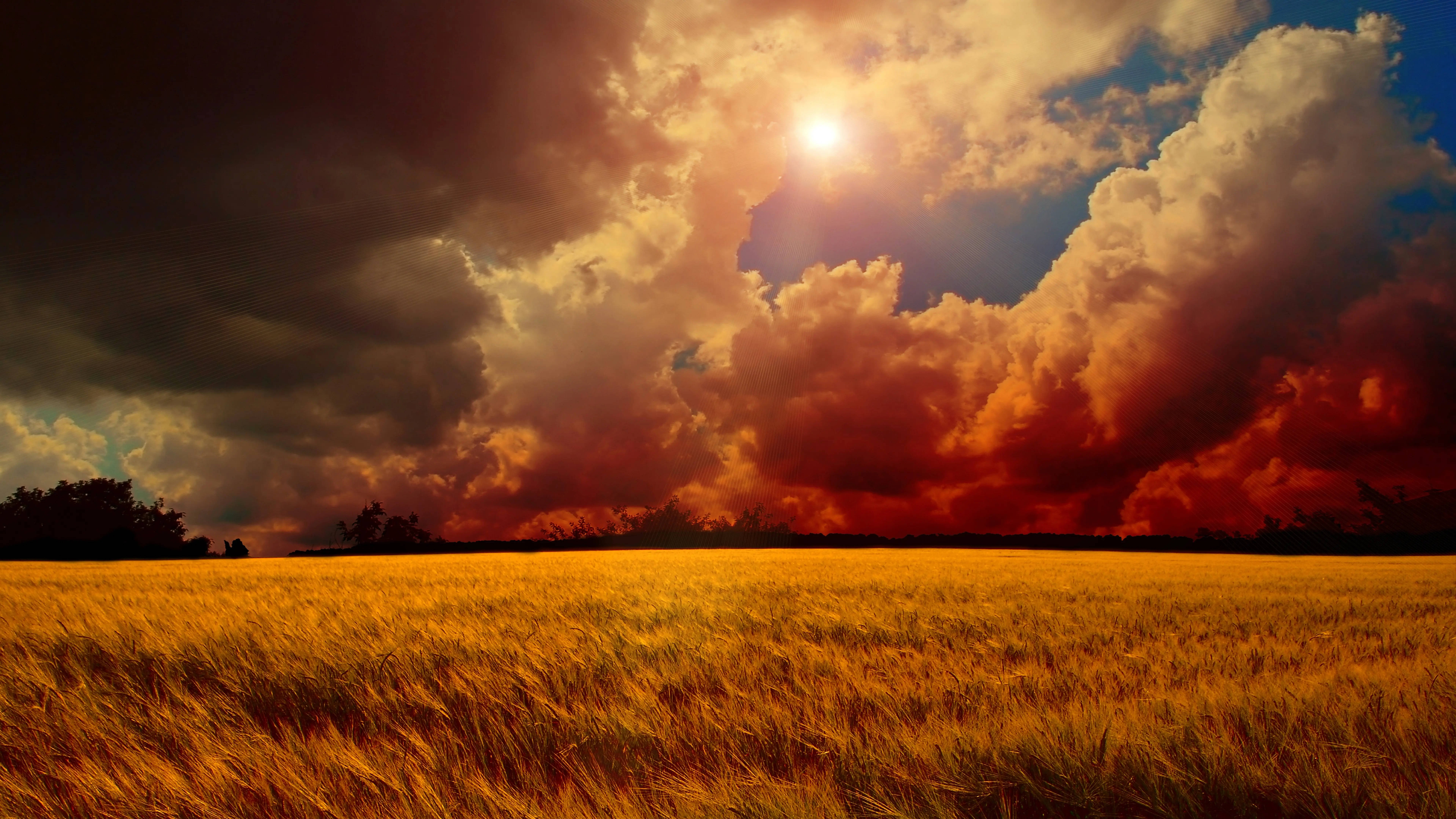8K Ultra HD, golden wheat field, dramatic sky, 8K Desktop Wallpaper