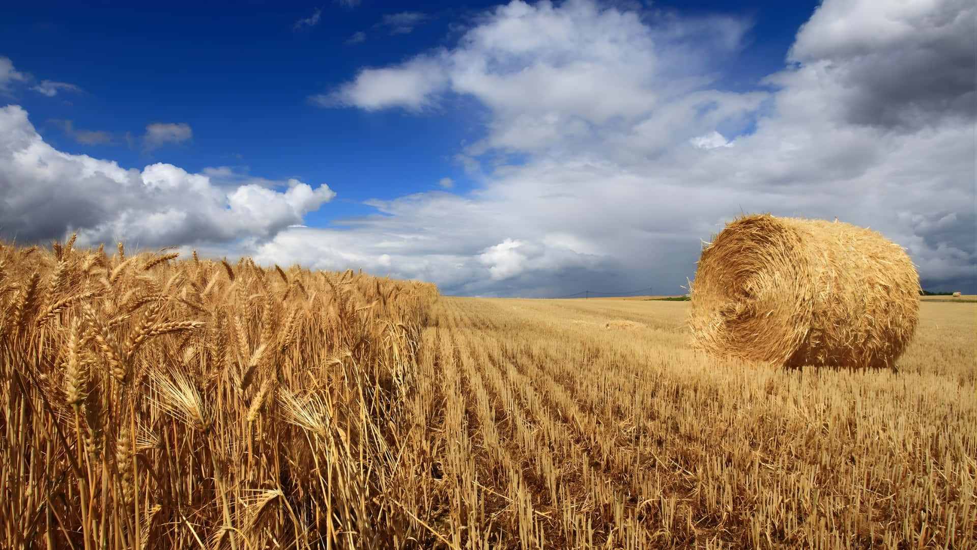golden wheat field, harvest, large golden hay bale, Full HD Desktop Wallpaper