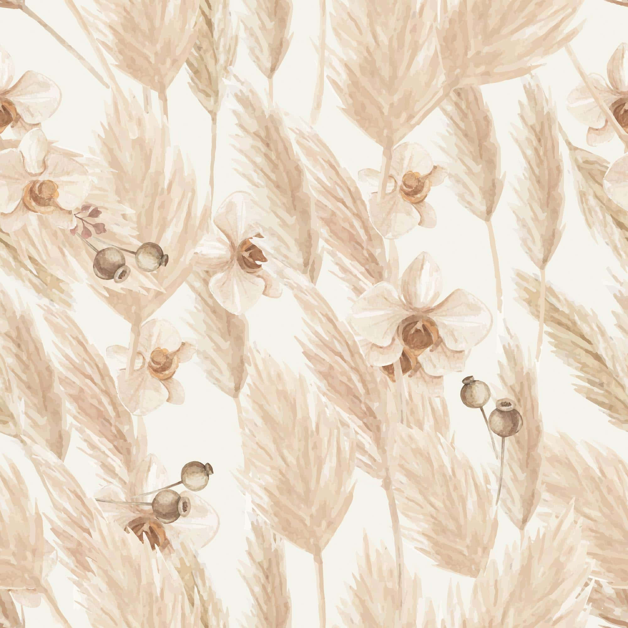 chic wheat background, pampas grass, delicate flowers, Full HD Desktop Wallpaper