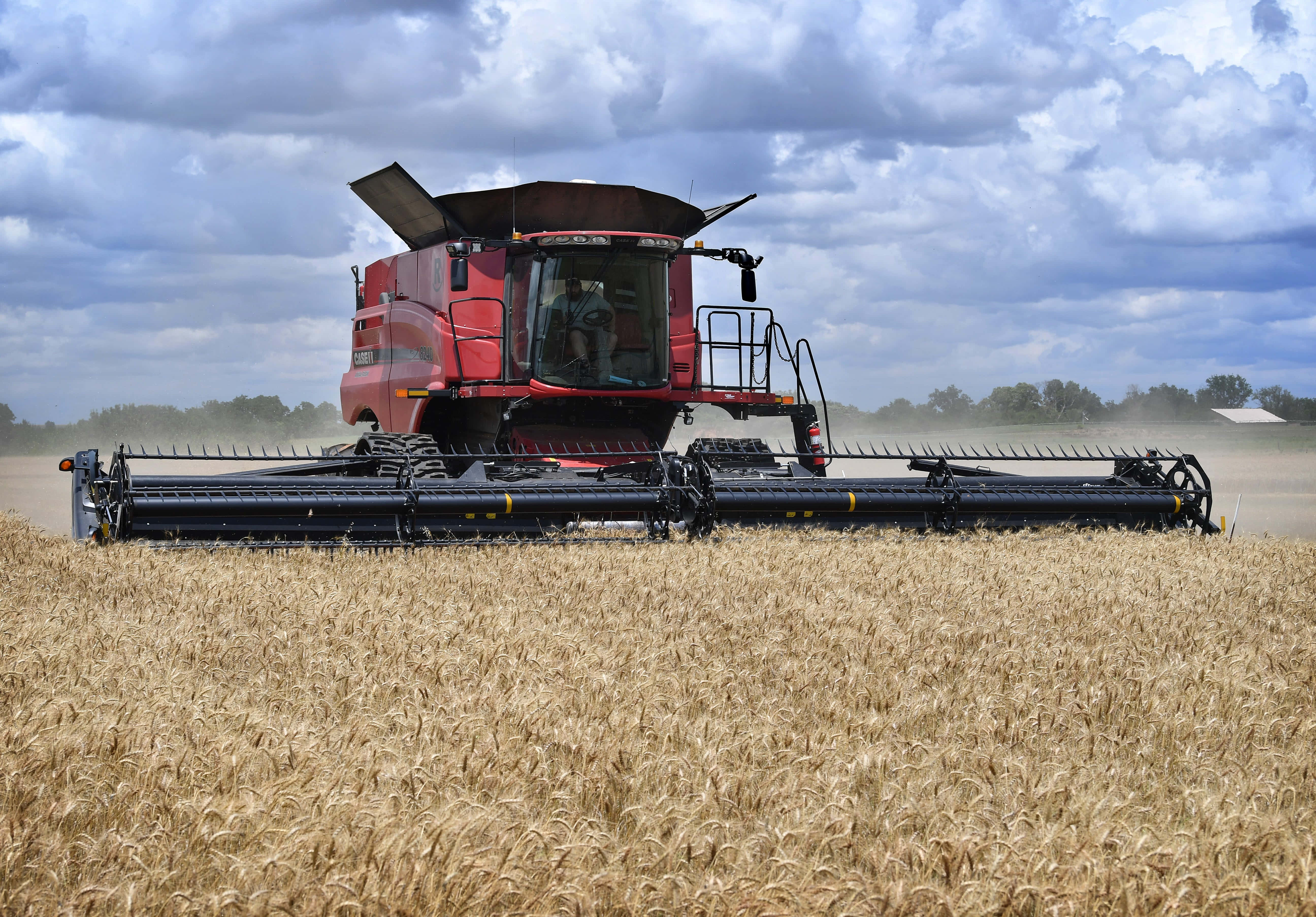 wheat harvest, red combine harvester, golden wheat field, 5K Desktop Wallpaper