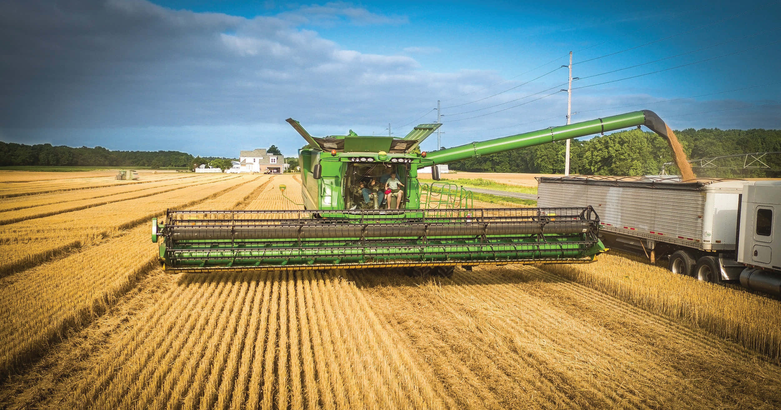 wheat harvest, green combine harvester, golden wheat, Full HD Desktop Wallpaper