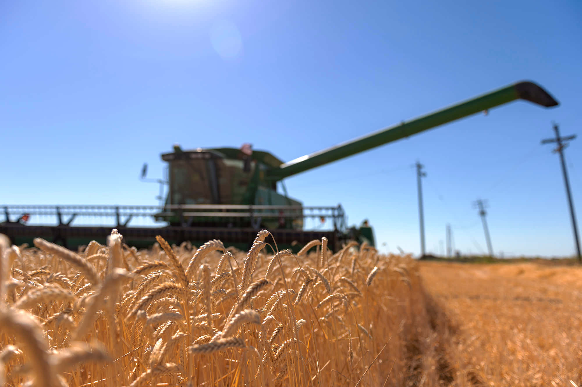 Wheat Harvest, green combine harvester, golden wheat, Full HD Desktop Wallpaper