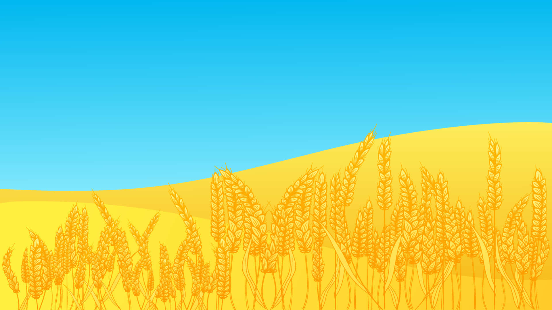 wheat harvest, 1920 x 1080, golden wheat field, Full HD Desktop Wallpaper