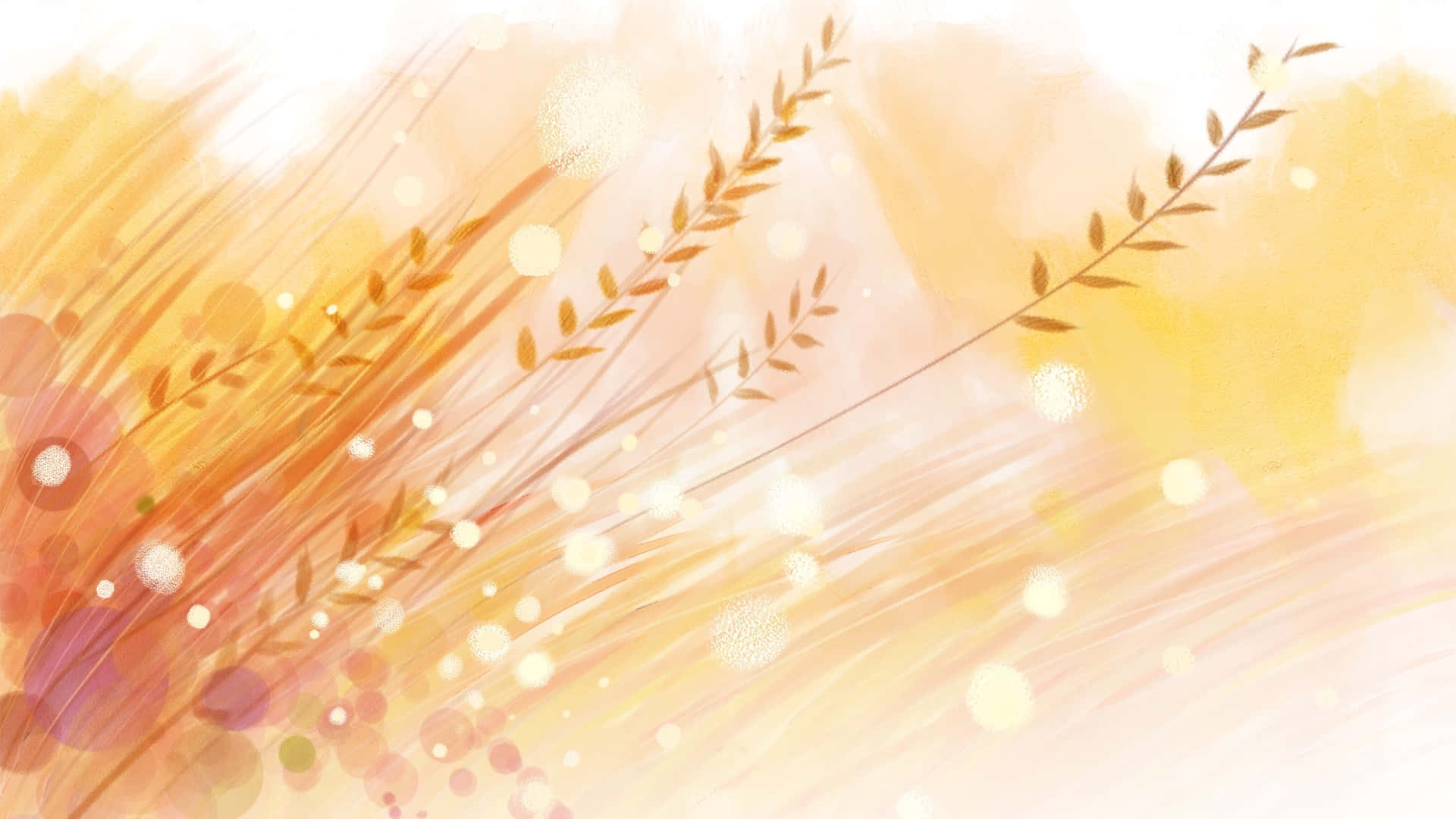 wheat harvest, golden wheat, sunset, Full HD Desktop Wallpaper