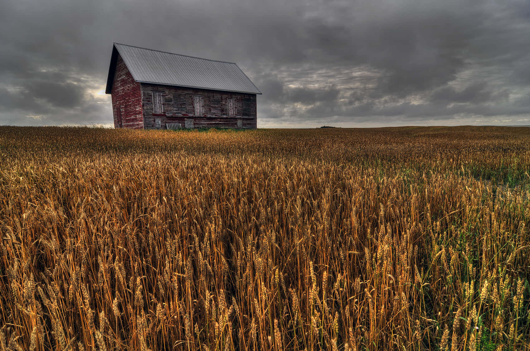 wheat harvest, red barn, golden wheat field, HD Desktop Wallpaper