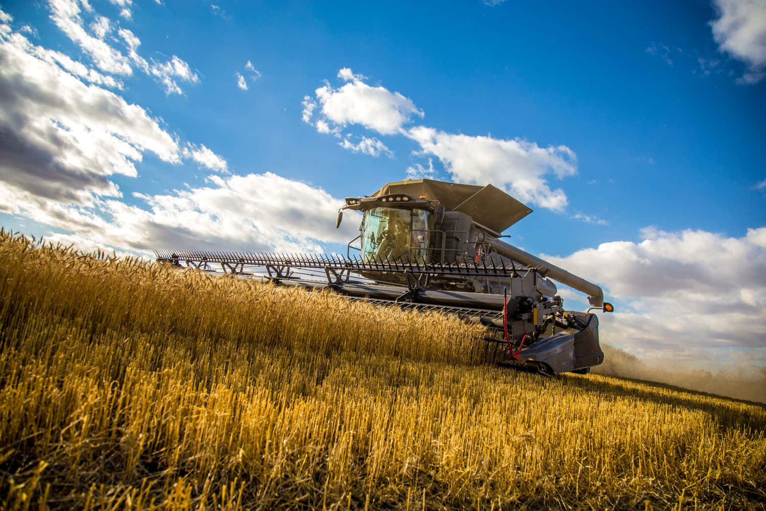 Wheat Harvest, combine harvester, golden wheat, HD Desktop Wallpaper