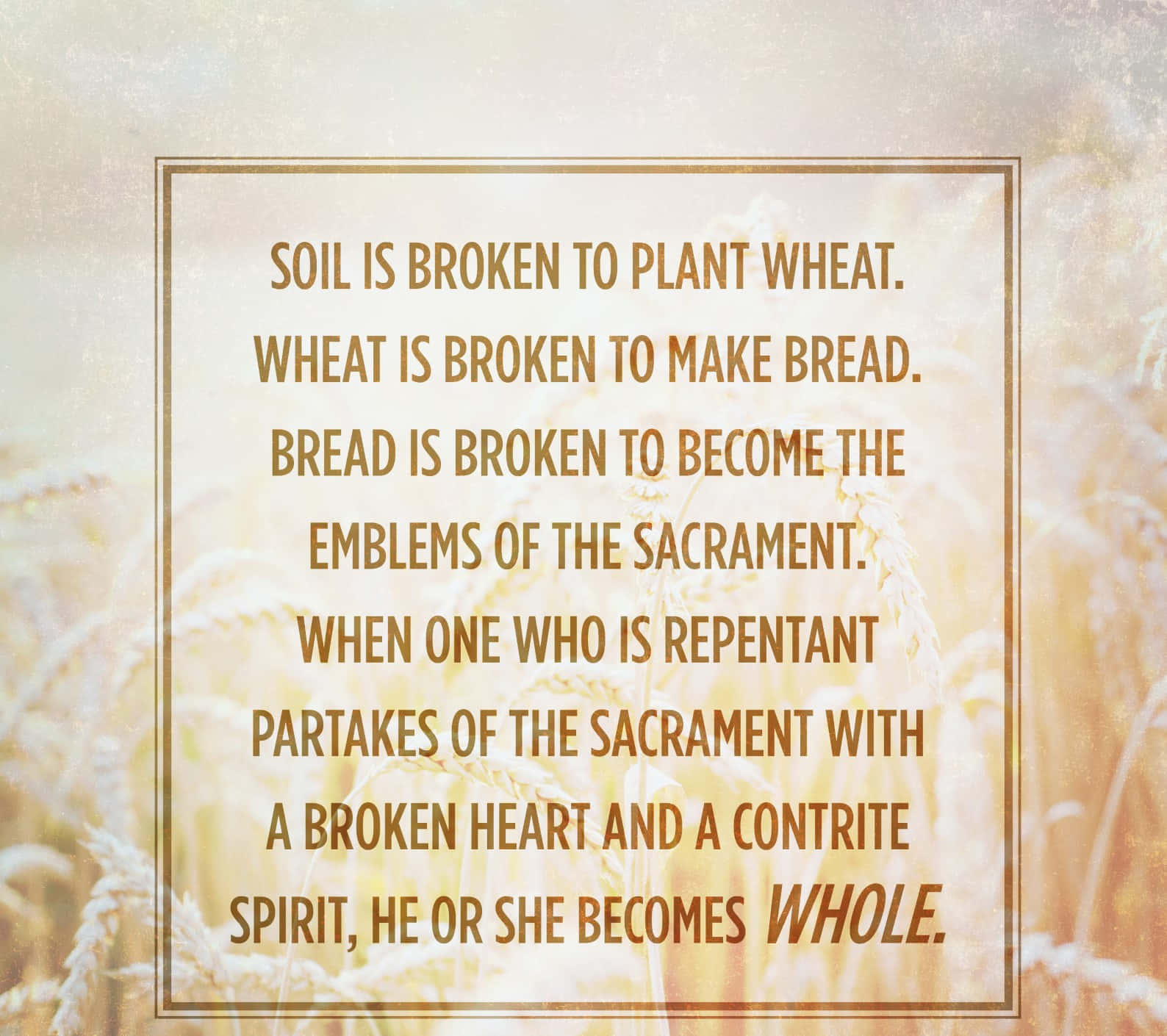 Golden wheat field, centered text box, religious quote about brokenness and wholeness, HD Desktop Wallpaper