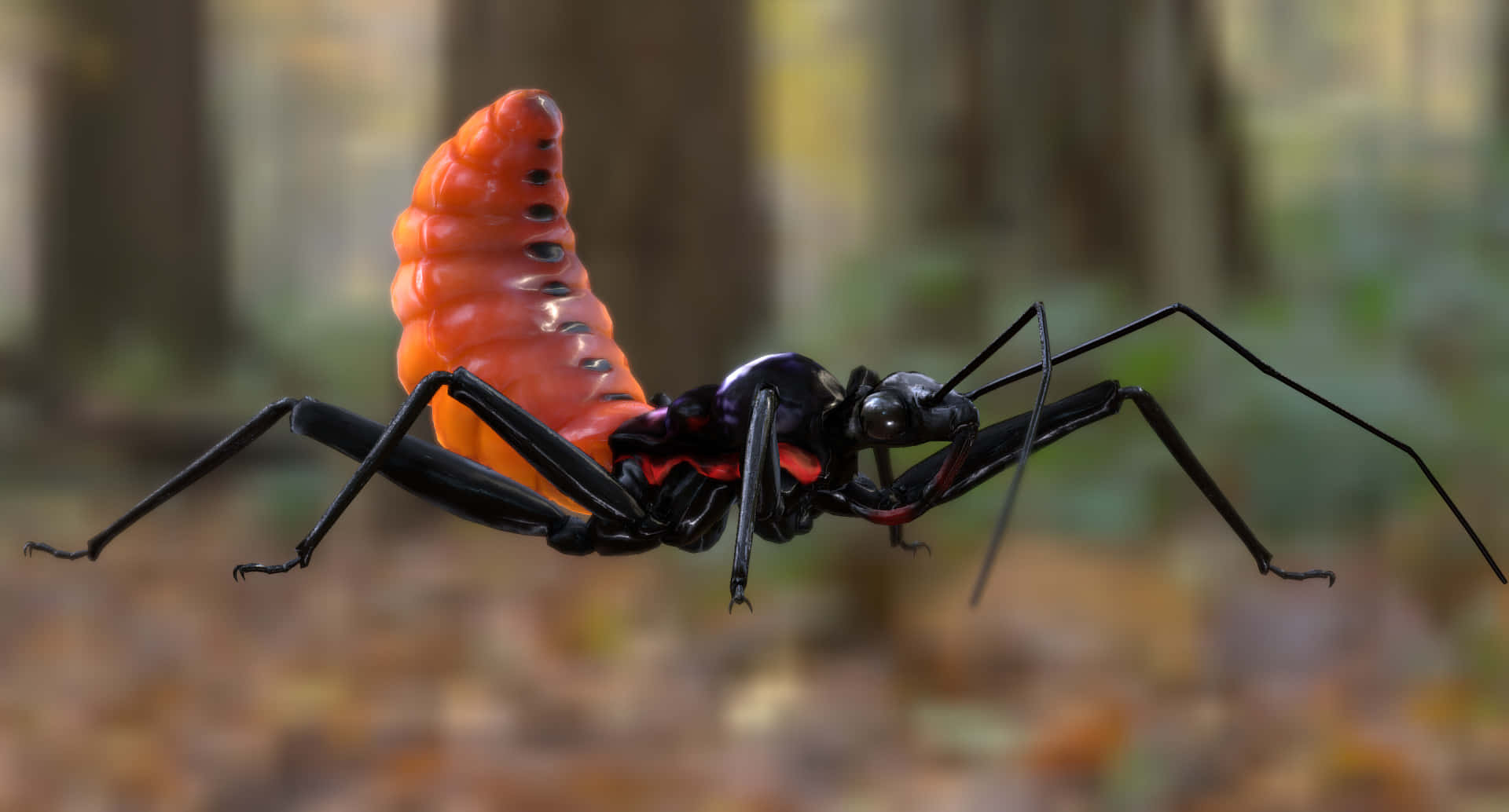 Wheel Bug, glossy black, vibrant orange segmented abdomen, Full HD Desktop Wallpaper