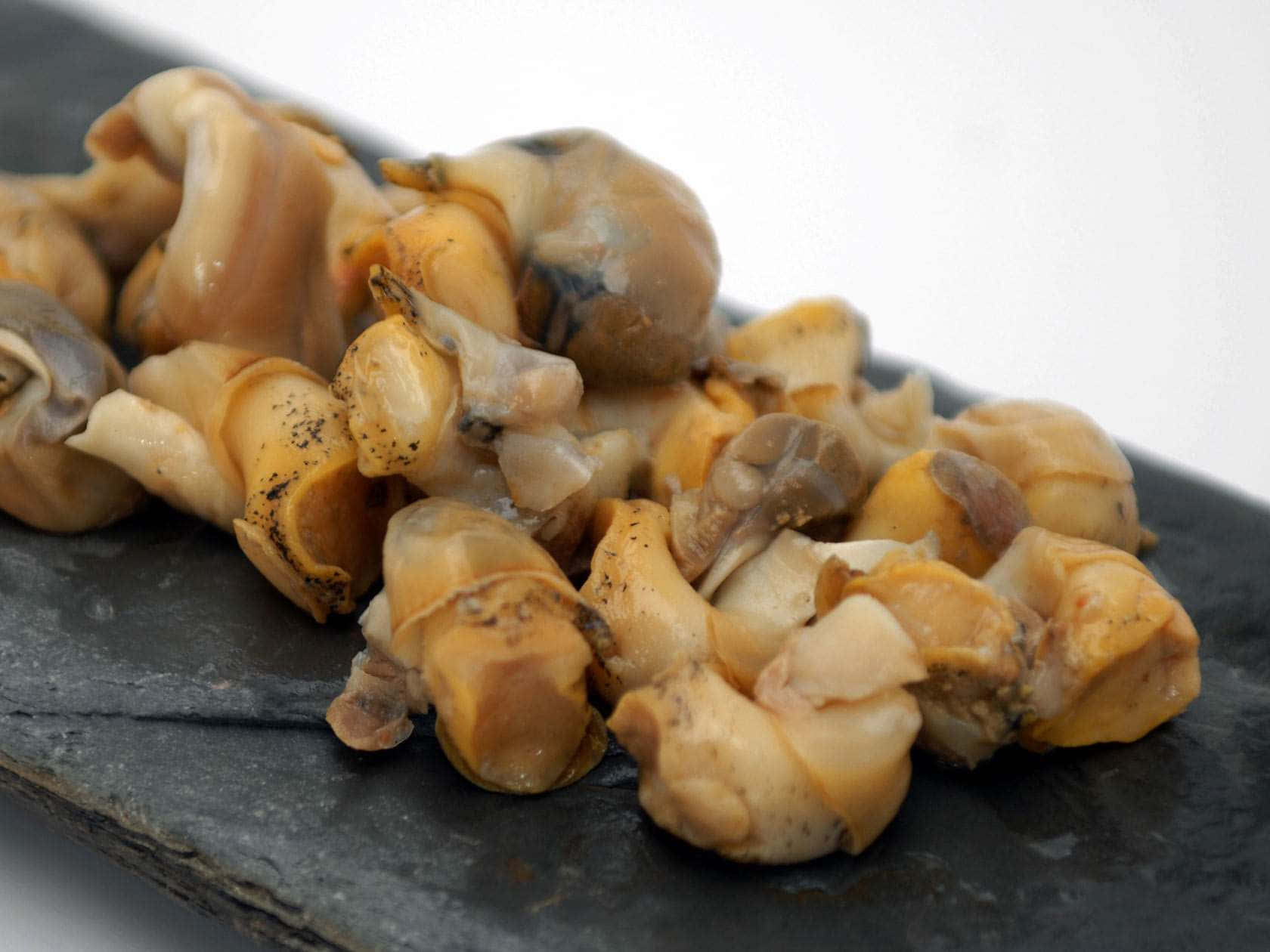 whelk, slate, golden-brown shells, HD Desktop Wallpaper