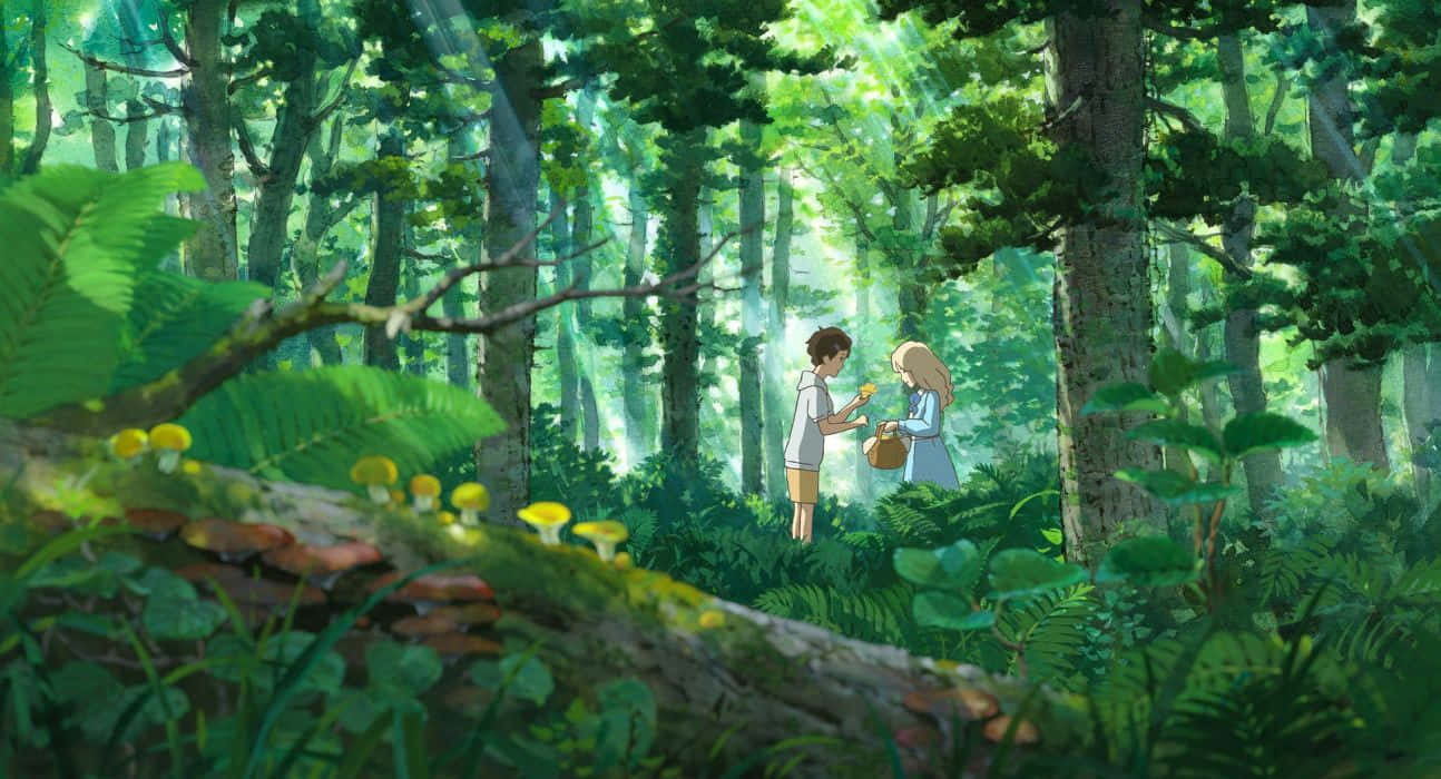 When Marnie Was There, sunlit forest, towering trees, HD Desktop Wallpaper