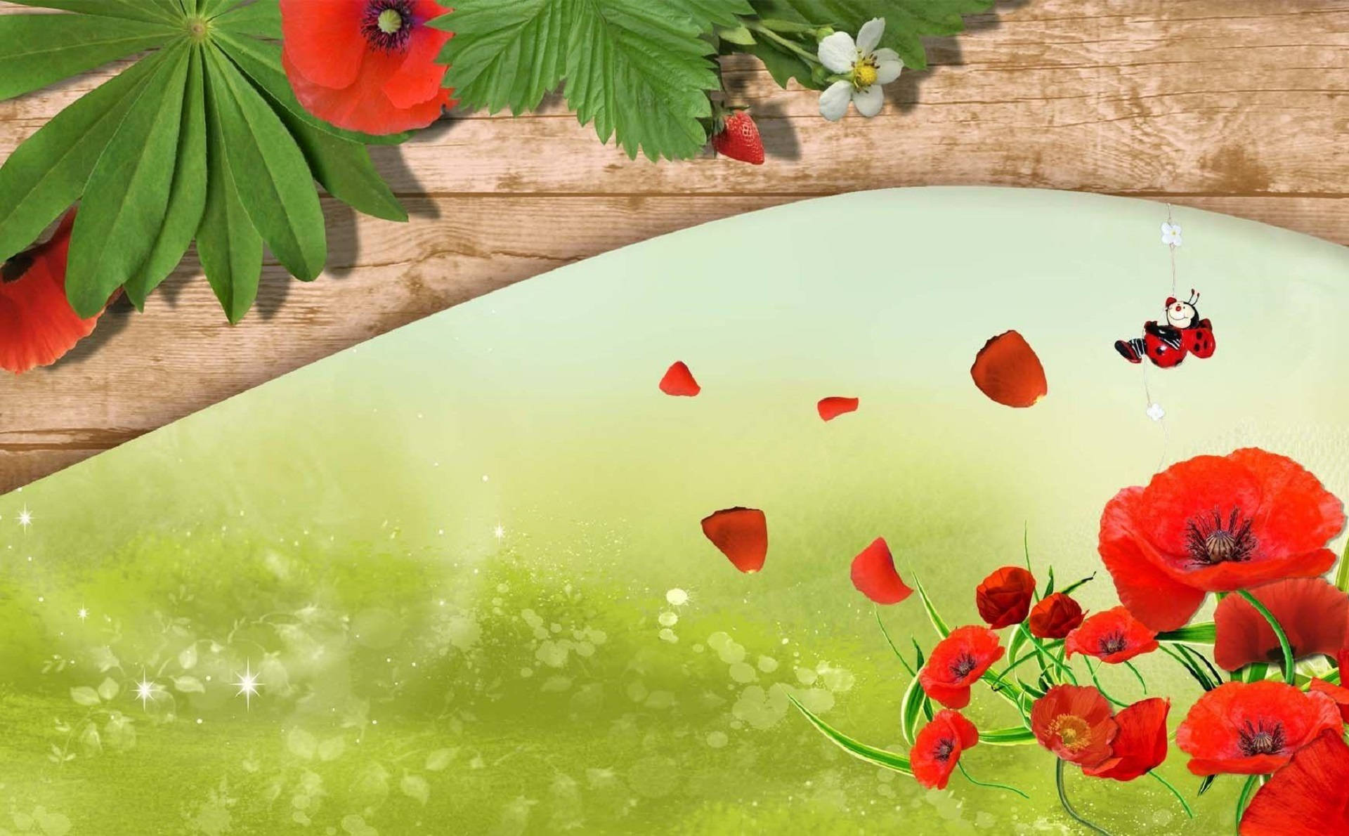 whimsical, red poppies, green leaves, Full HD Desktop Wallpaper