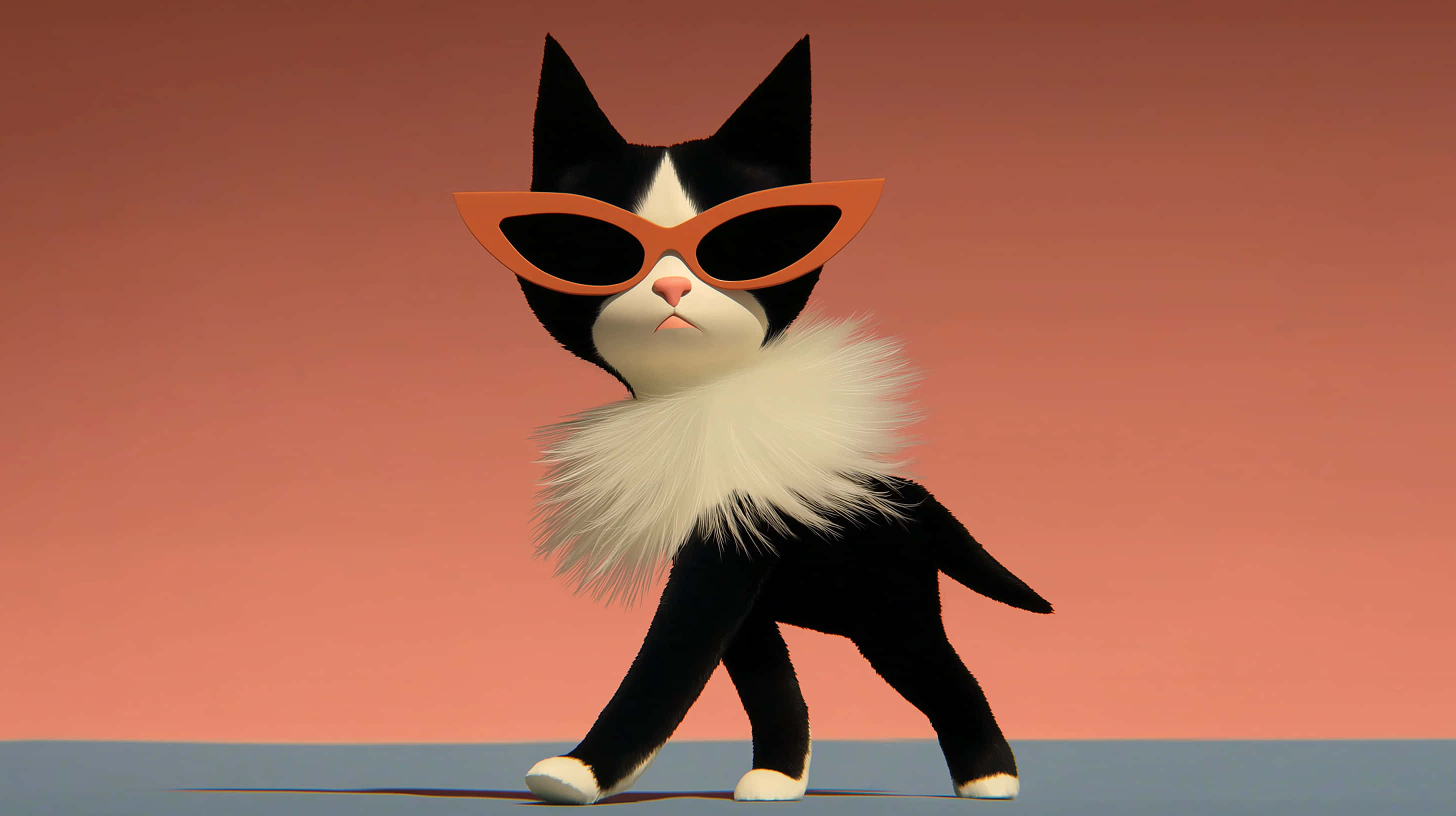 black cat, orange sunglasses, fluffy white collar, 2K Desktop Wallpaper