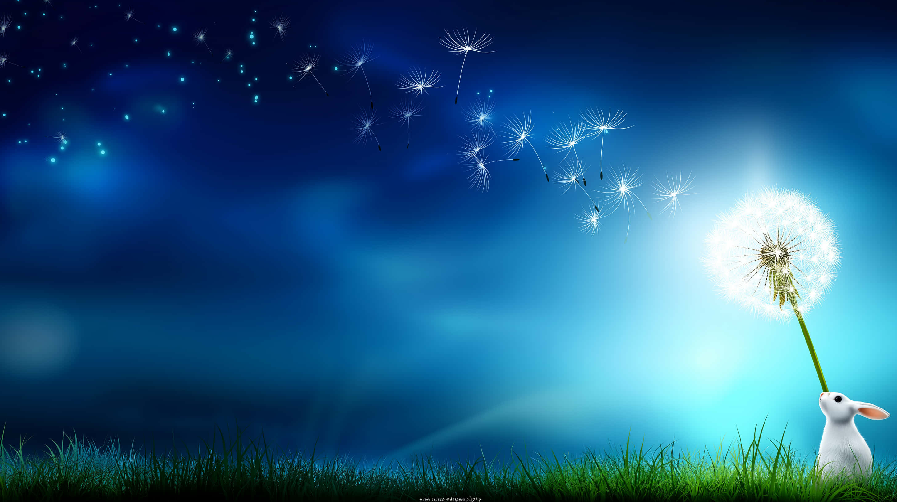 tiny rabbit, dandelion seeds, starry blue sky, 2K Desktop Wallpaper