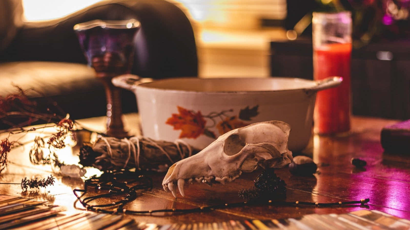Whimsigoth Vibe Still Life, dog skull, autumn leaves, HD Desktop Wallpaper
