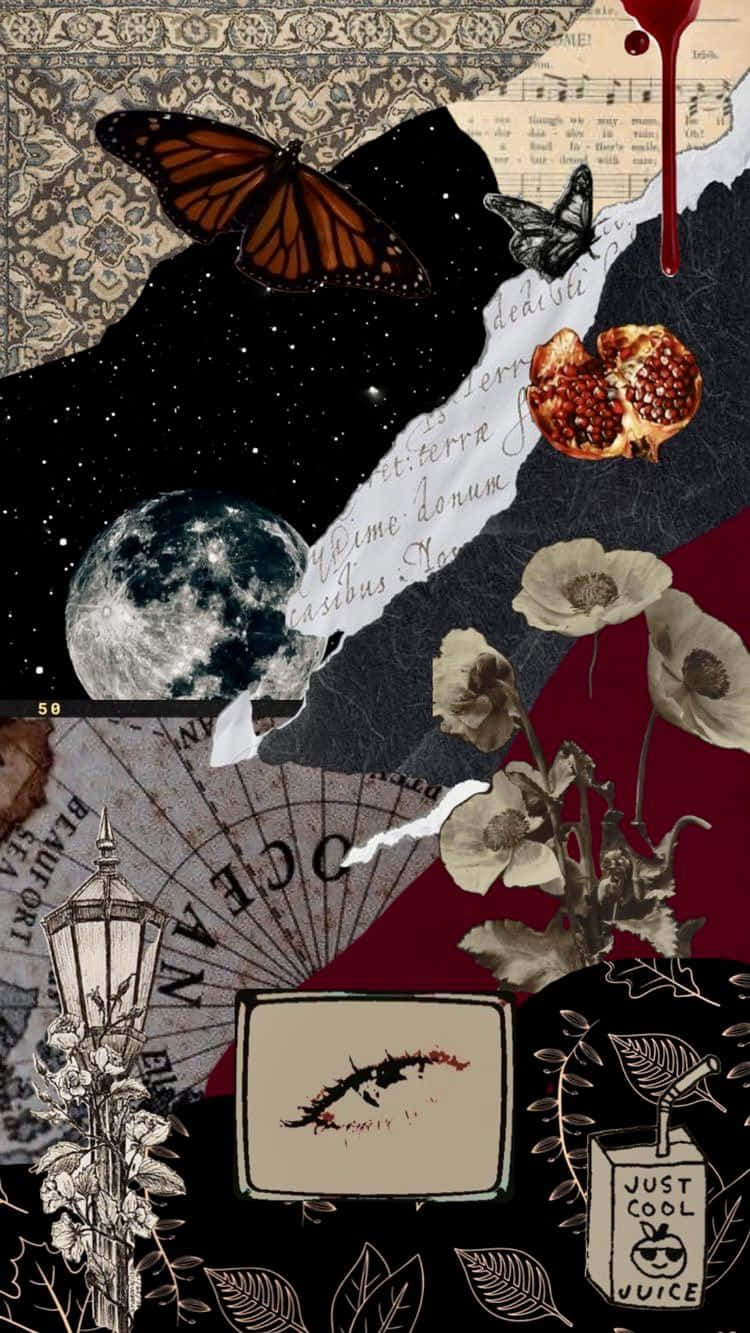 Whimsigoth Collage Aesthetic, monarch butterflies, pomegranates, HD Phone Wallpaper