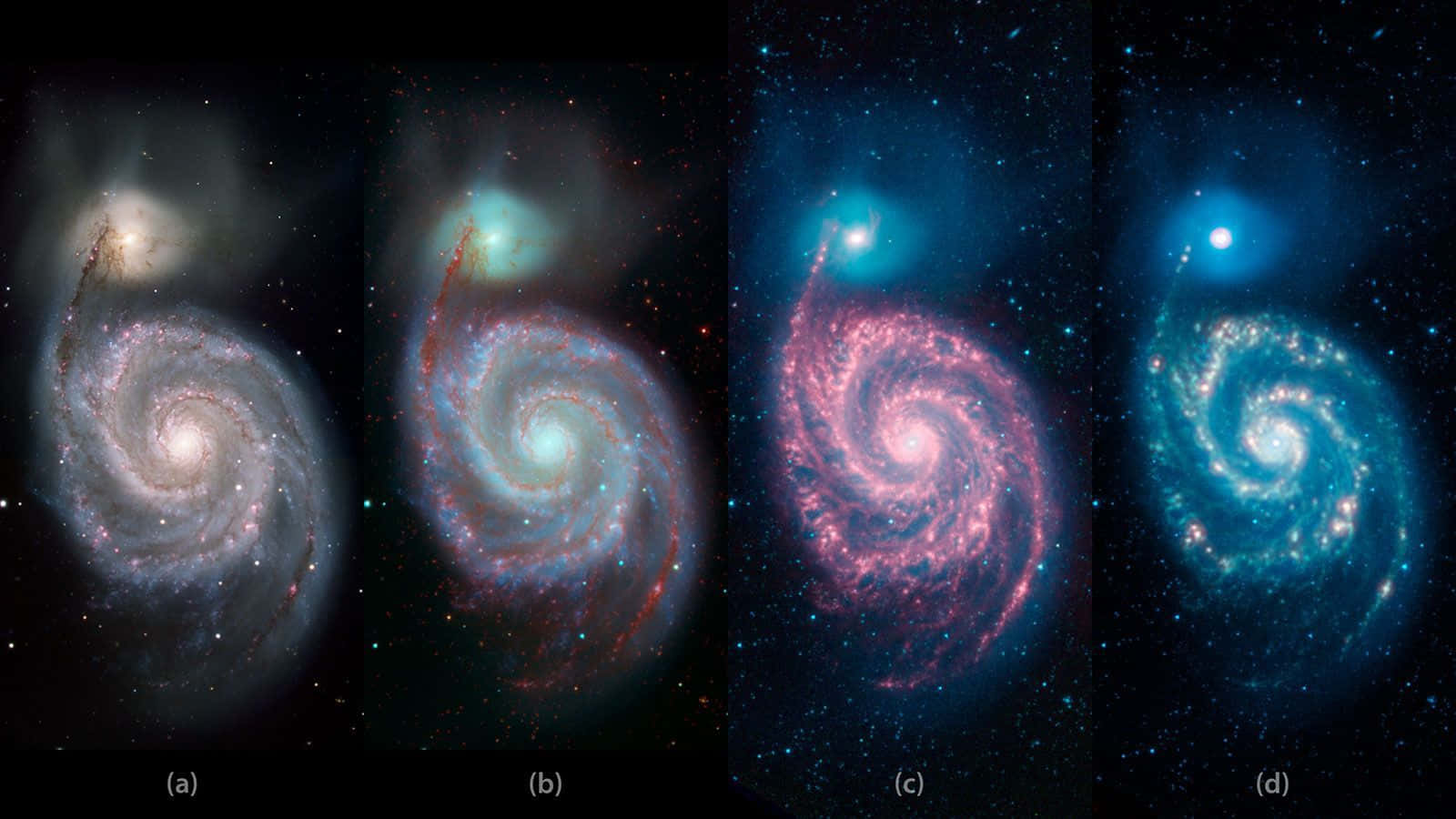 Whirlpool Galaxy, spiral galaxies, pink blue and white nebulae, HD Desktop Wallpaper