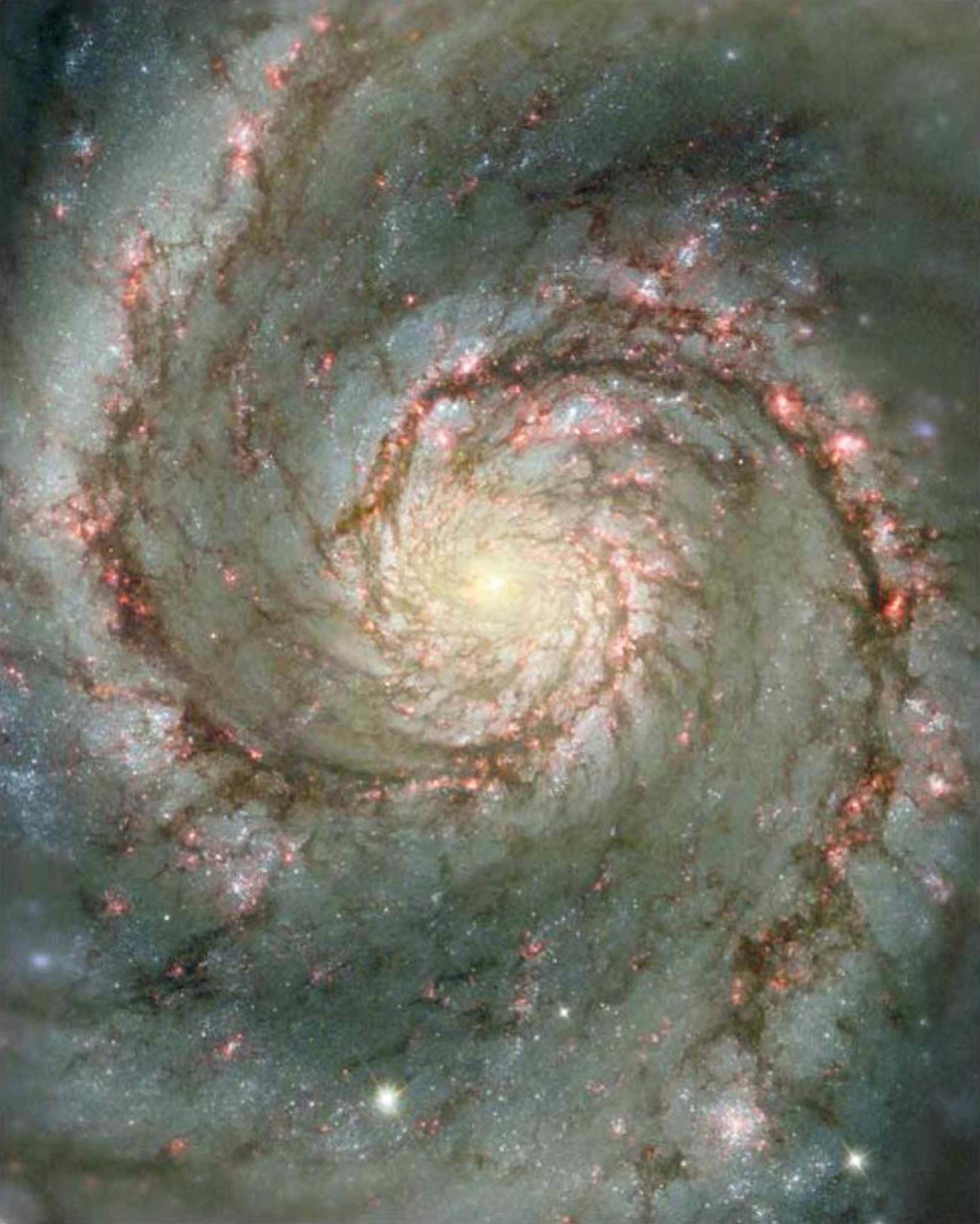 Whirlpool Galaxy, 2002 x 2500, glowing pink star clusters, Full HD Phone Wallpaper