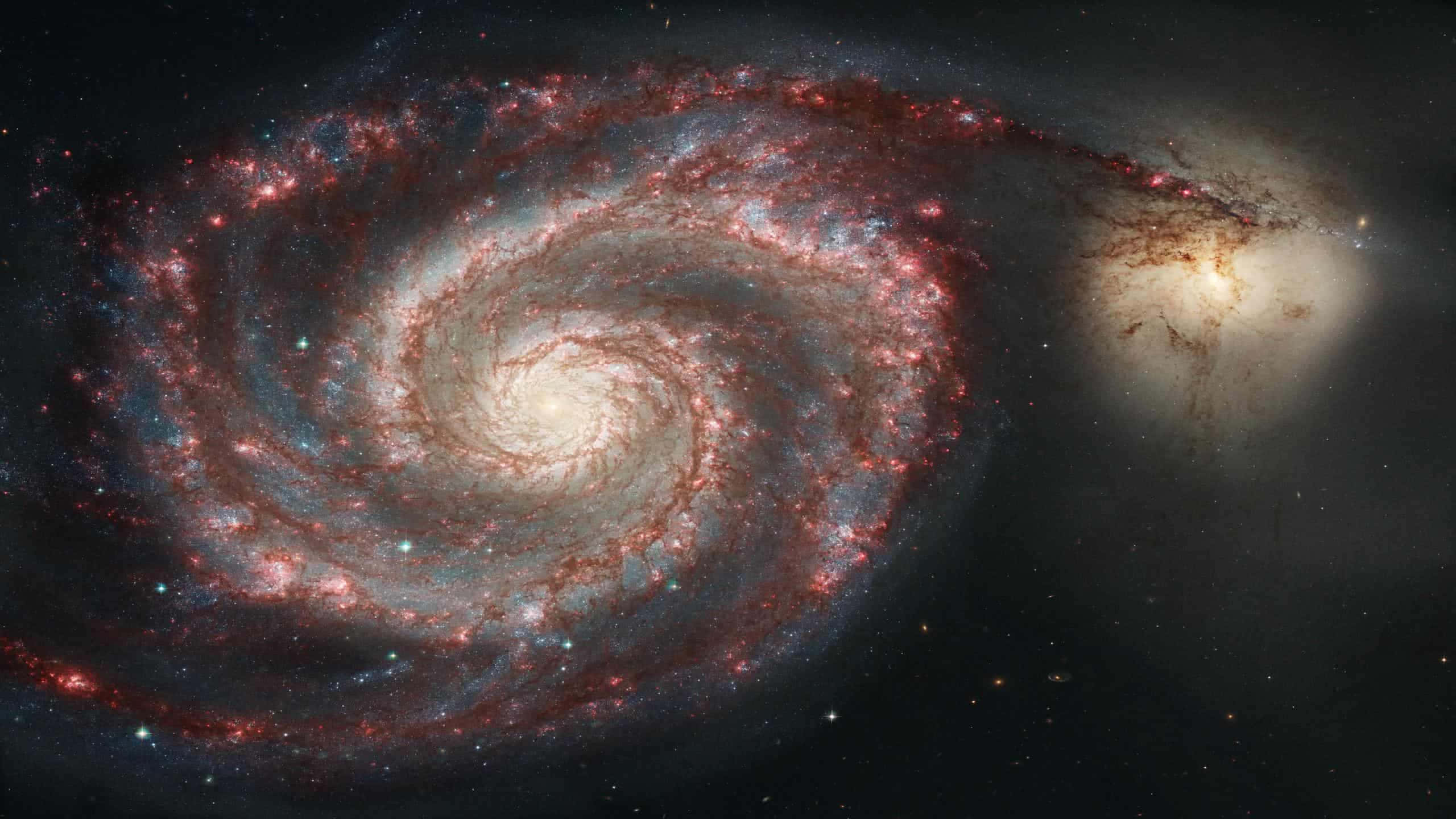 Whirlpool Galaxy, 2560 x 1440, glowing red and blue arms, 2K Desktop Wallpaper