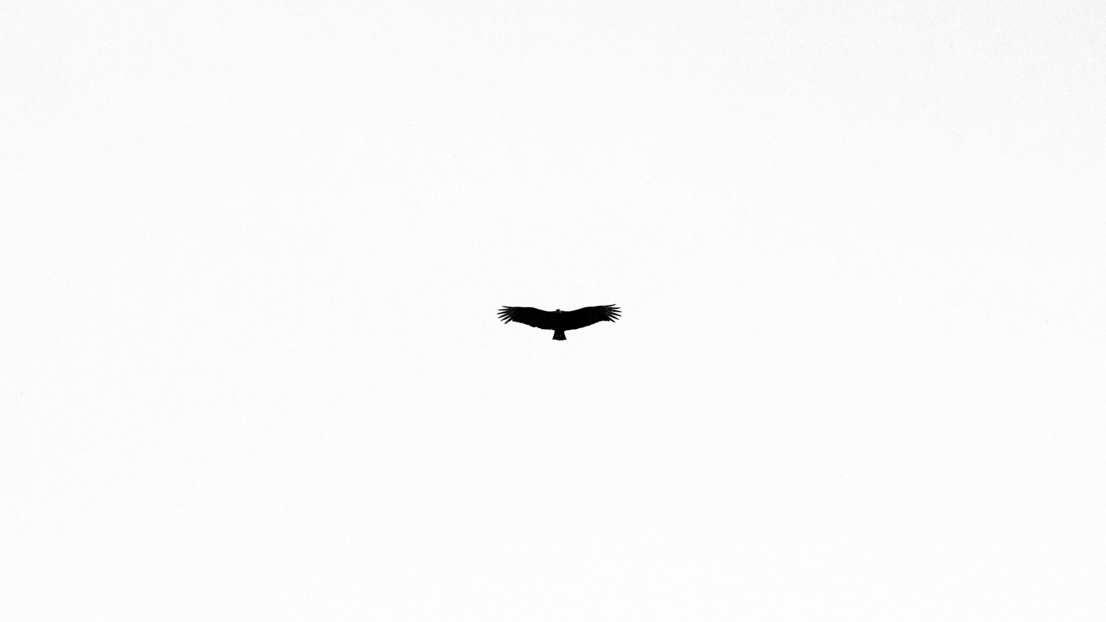 minimalist, white, abstract art, 4K Desktop Wallpaper
