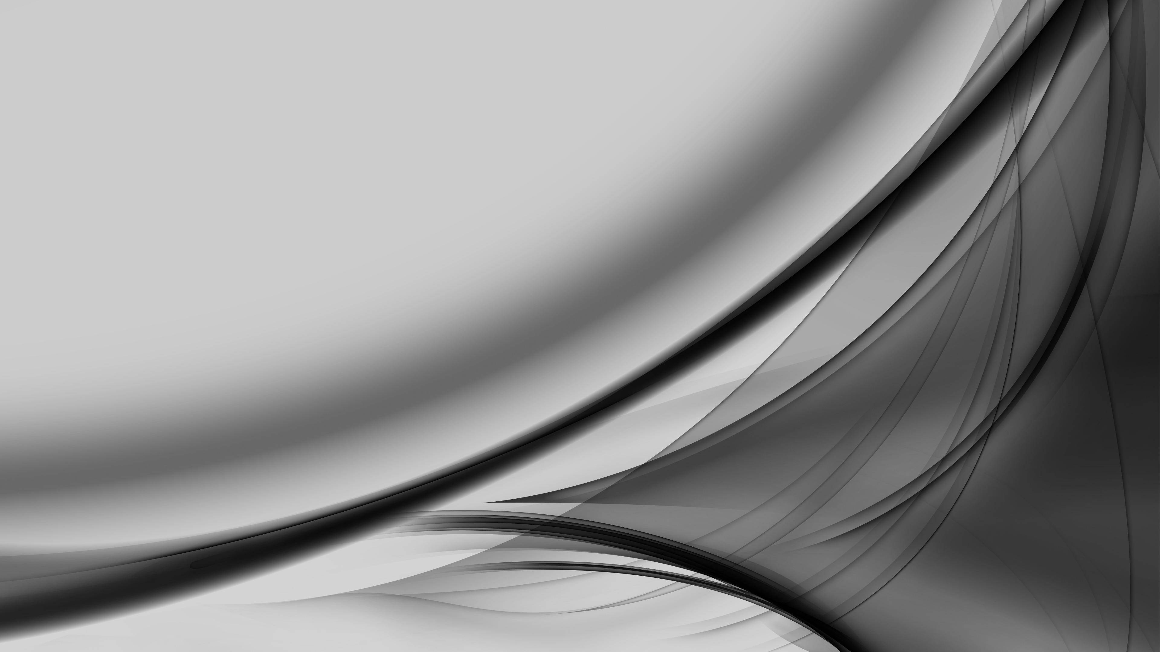 white abstract wave art, monochrome gradient, flowing abstract curves, 4K Desktop Wallpaper