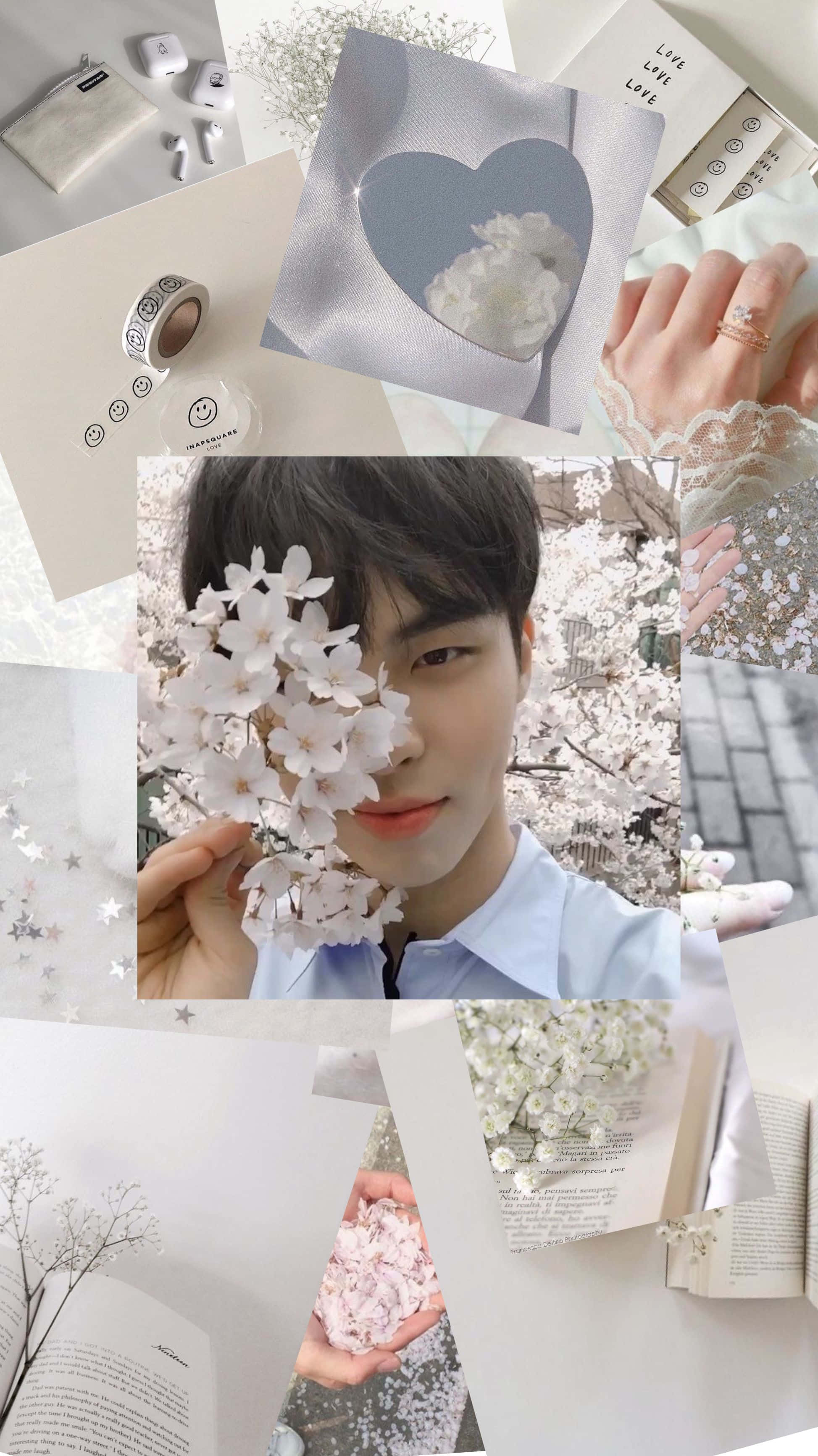 cherry blossoms, stationery lace, books, 2K Phone Wallpaper