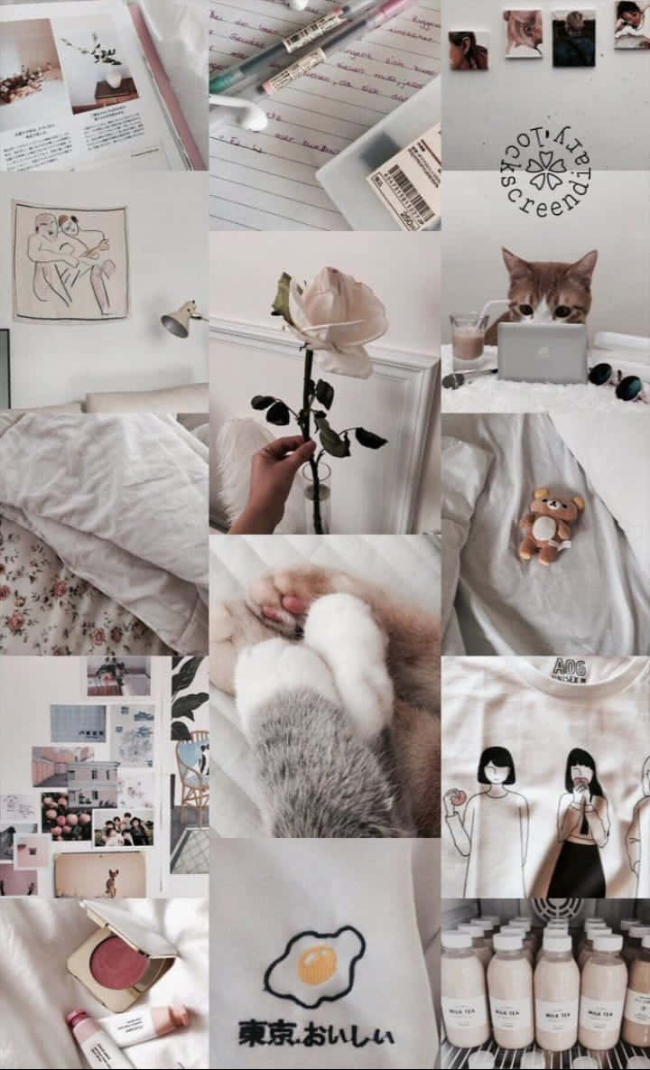 white aesthetic collage, handwritten notes, cat using a laptop, SD Phone Wallpaper