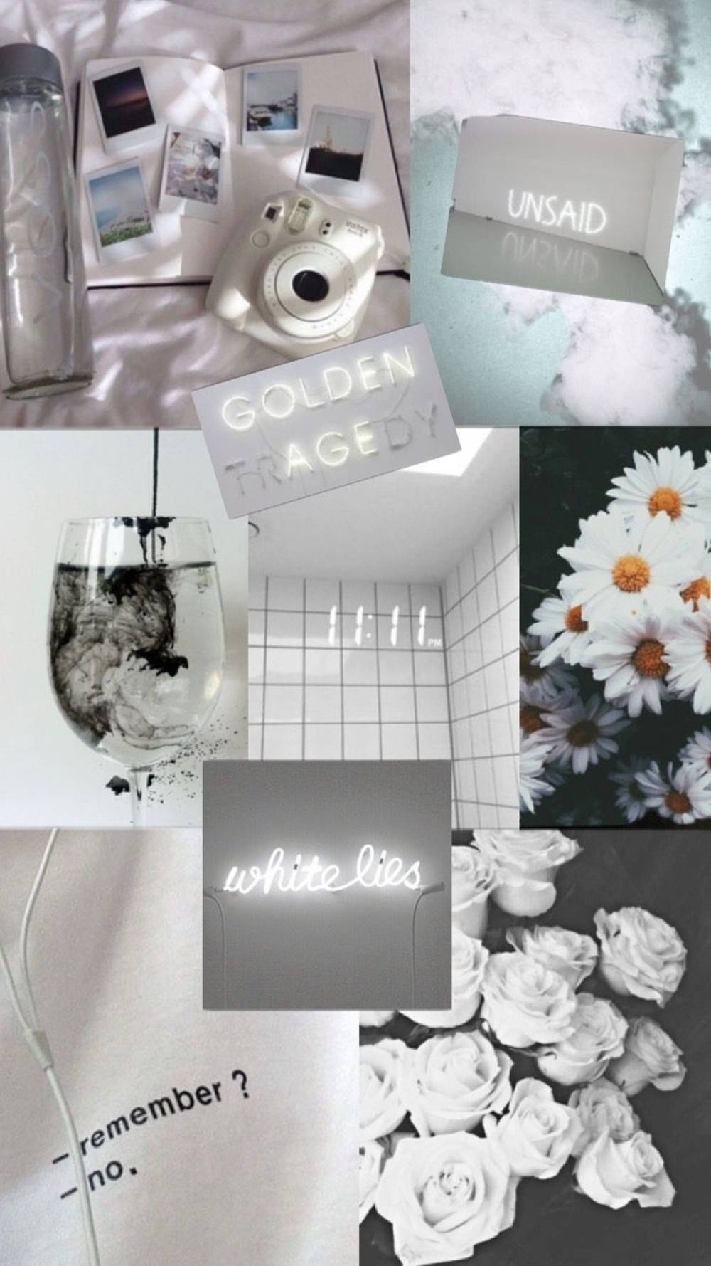 white roses, daisies, polaroids, HD Phone Wallpaper