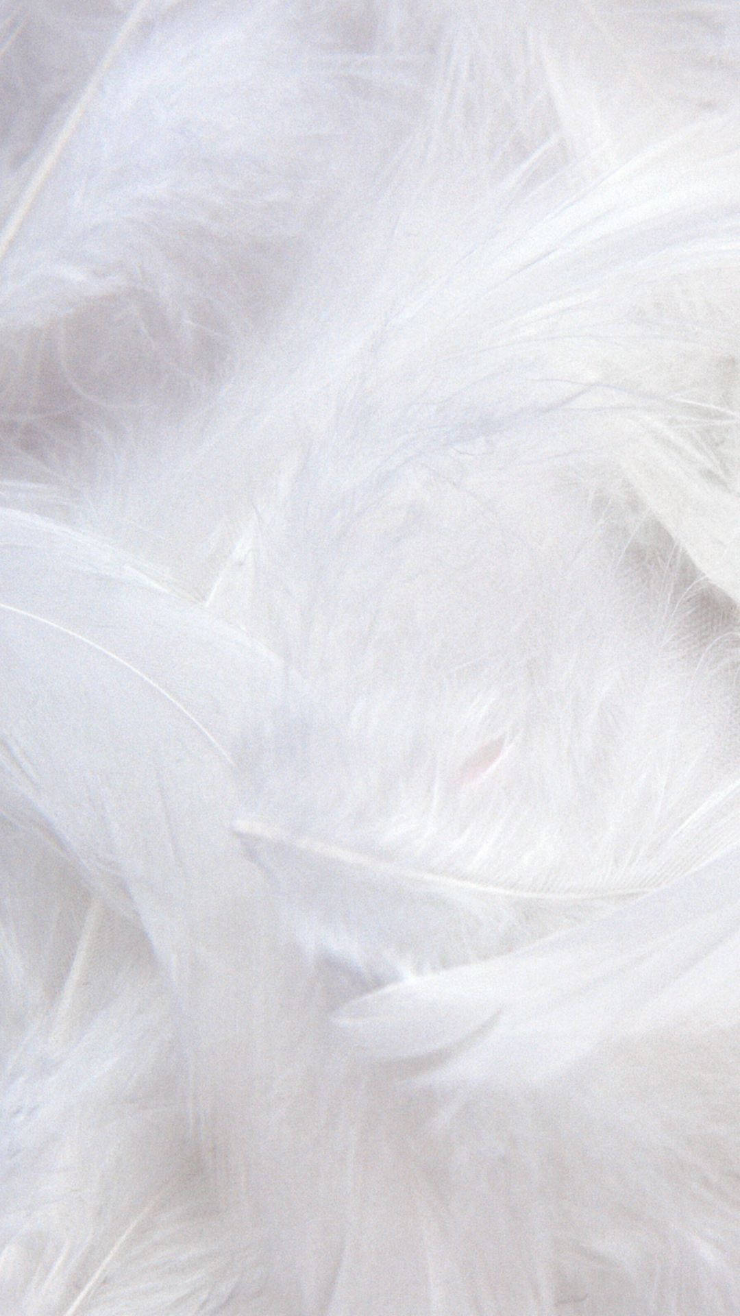 white feathers, fluffy white feathers, delicate textured background, Full HD Phone Wallpaper