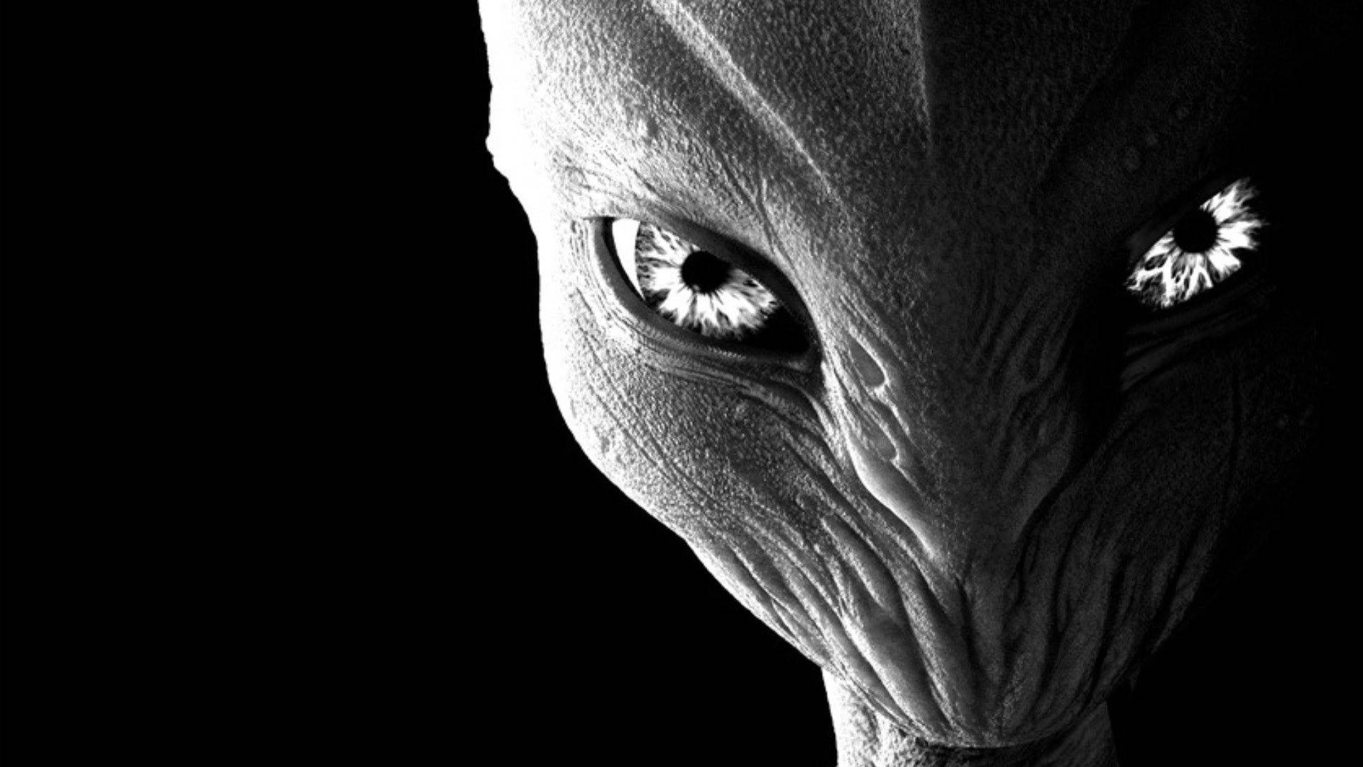 White Alienware, creepy face, large detailed eyes, Full HD Desktop Wallpaper