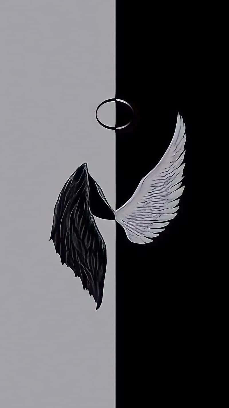 black wing, white wing, gray, HD Phone Wallpaper