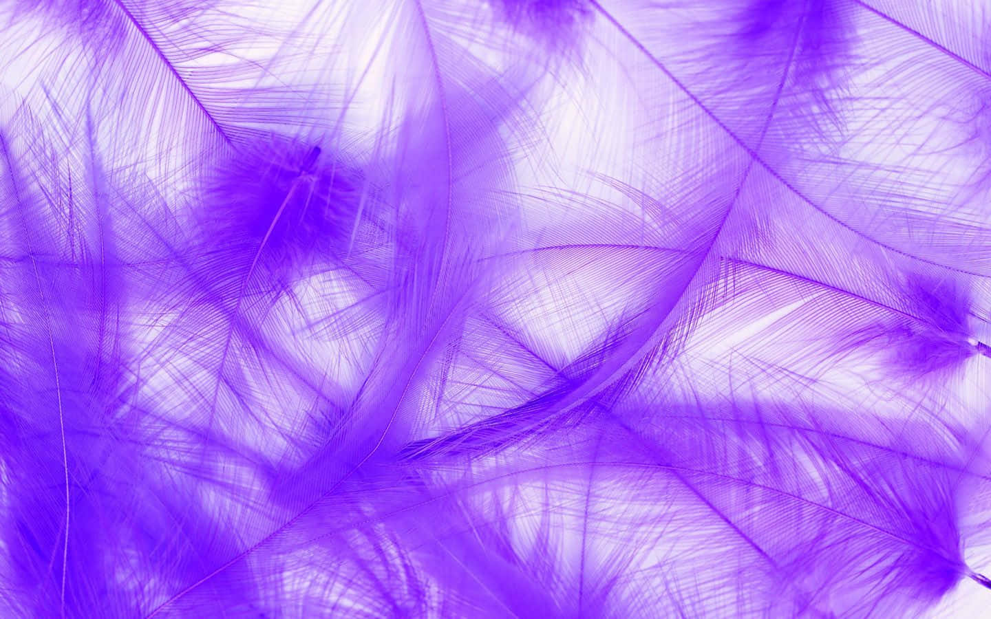 sunset, white, purple, HD Desktop Wallpaper