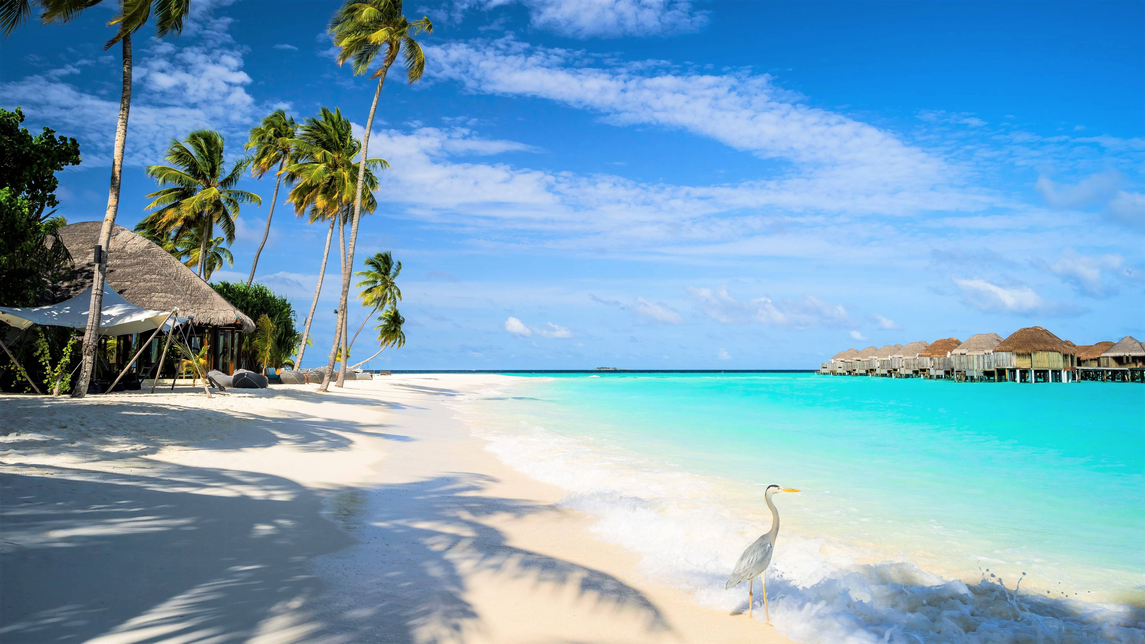 white beach, floating cottages, turquoise water, 4K Desktop Wallpaper