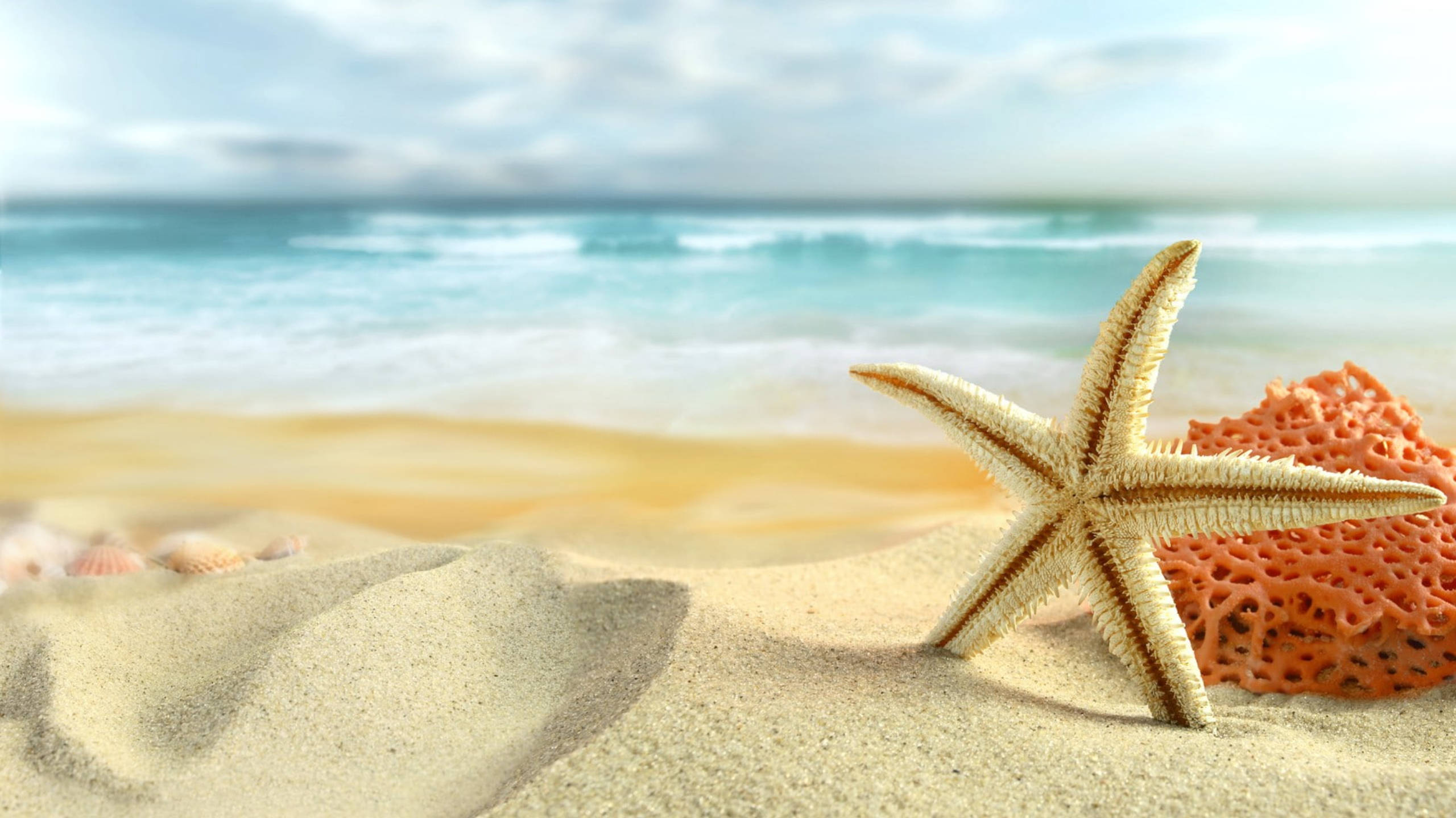 starfish, white beach, golden sand, 2K Desktop Wallpaper