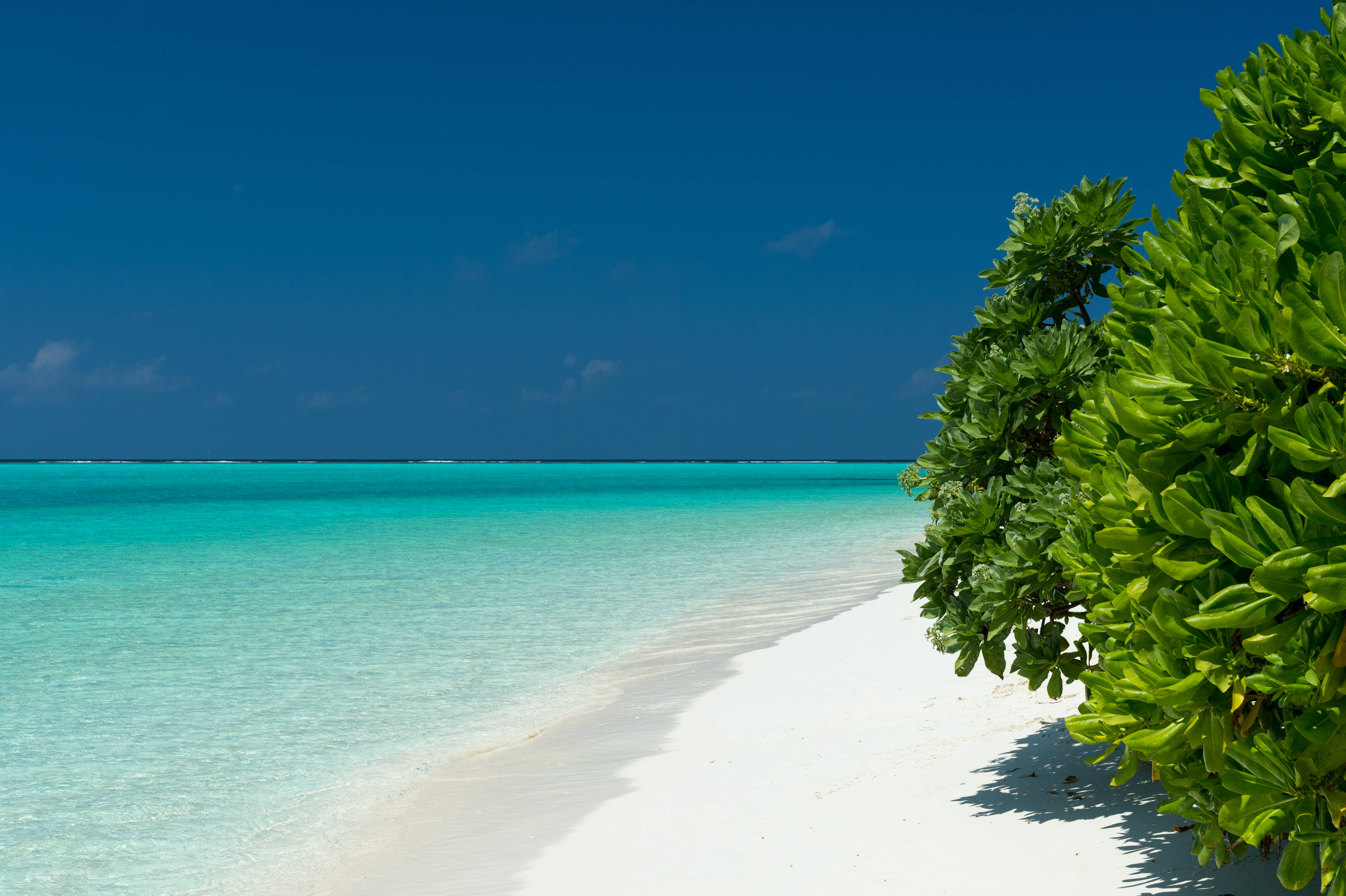 White Beach, white sand beach, turquoise waters, 4K Desktop Wallpaper