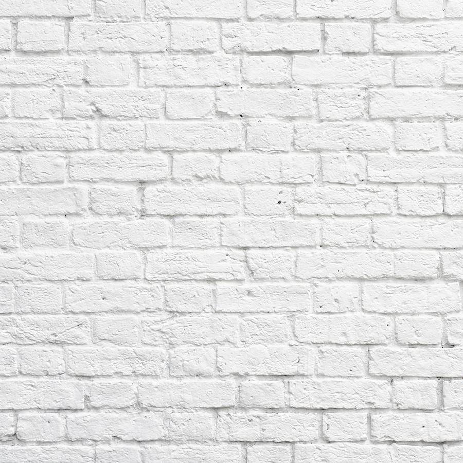 textured white brick wall, Flemish bond, white painted brick, SD Desktop Wallpaper