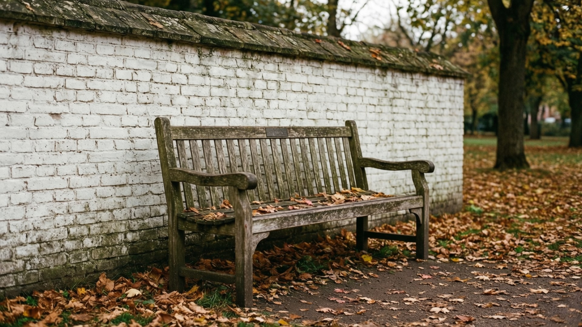 rustic bench, white brick wall, autumn leaves, Full HD Desktop Wallpaper