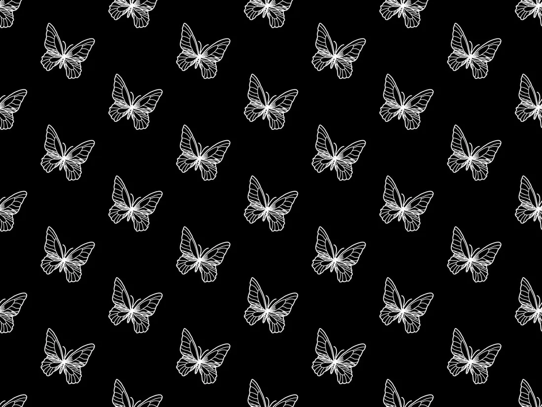 White Butterfly