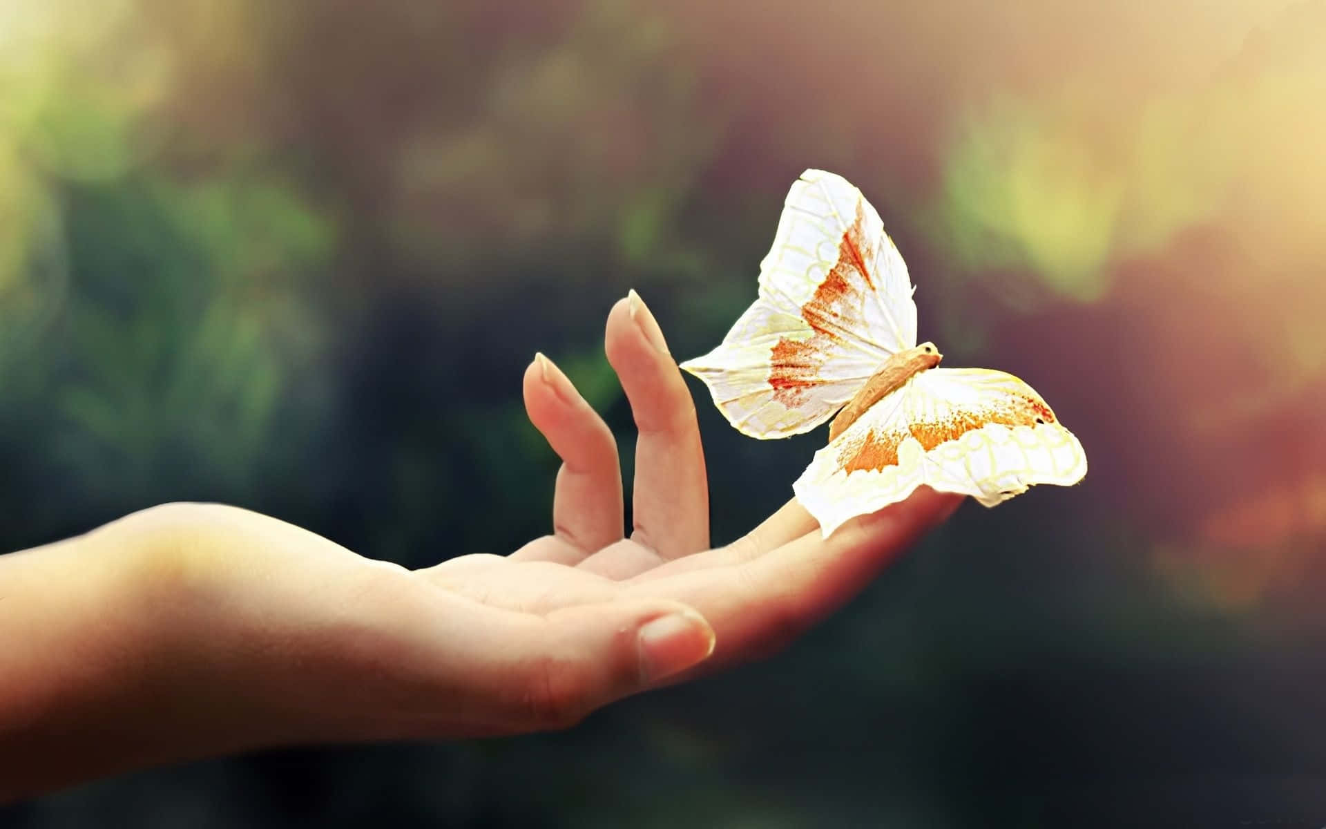 white butterfly, bright blue sky, outstretched hand, Full HD Desktop Wallpaper