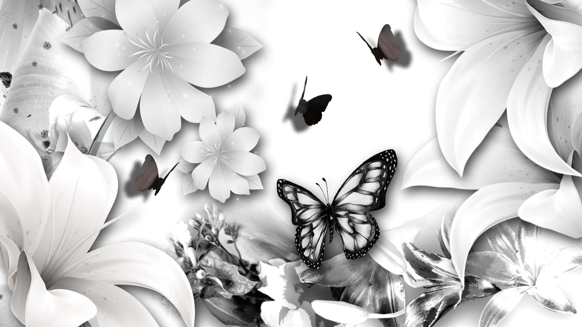 White Butterfly, lilies, butterflies, Full HD Desktop Wallpaper