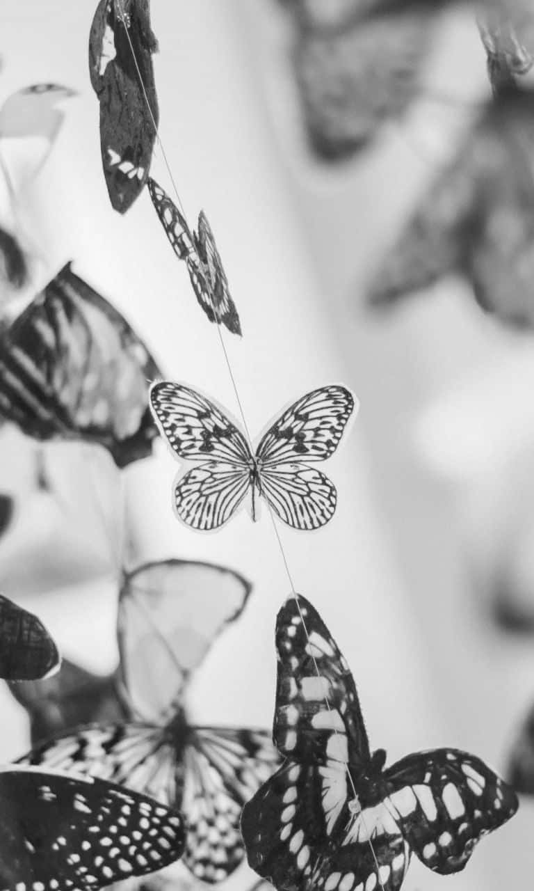 White Butterfly, black and white, delicate paper butterflies, HD Phone Wallpaper