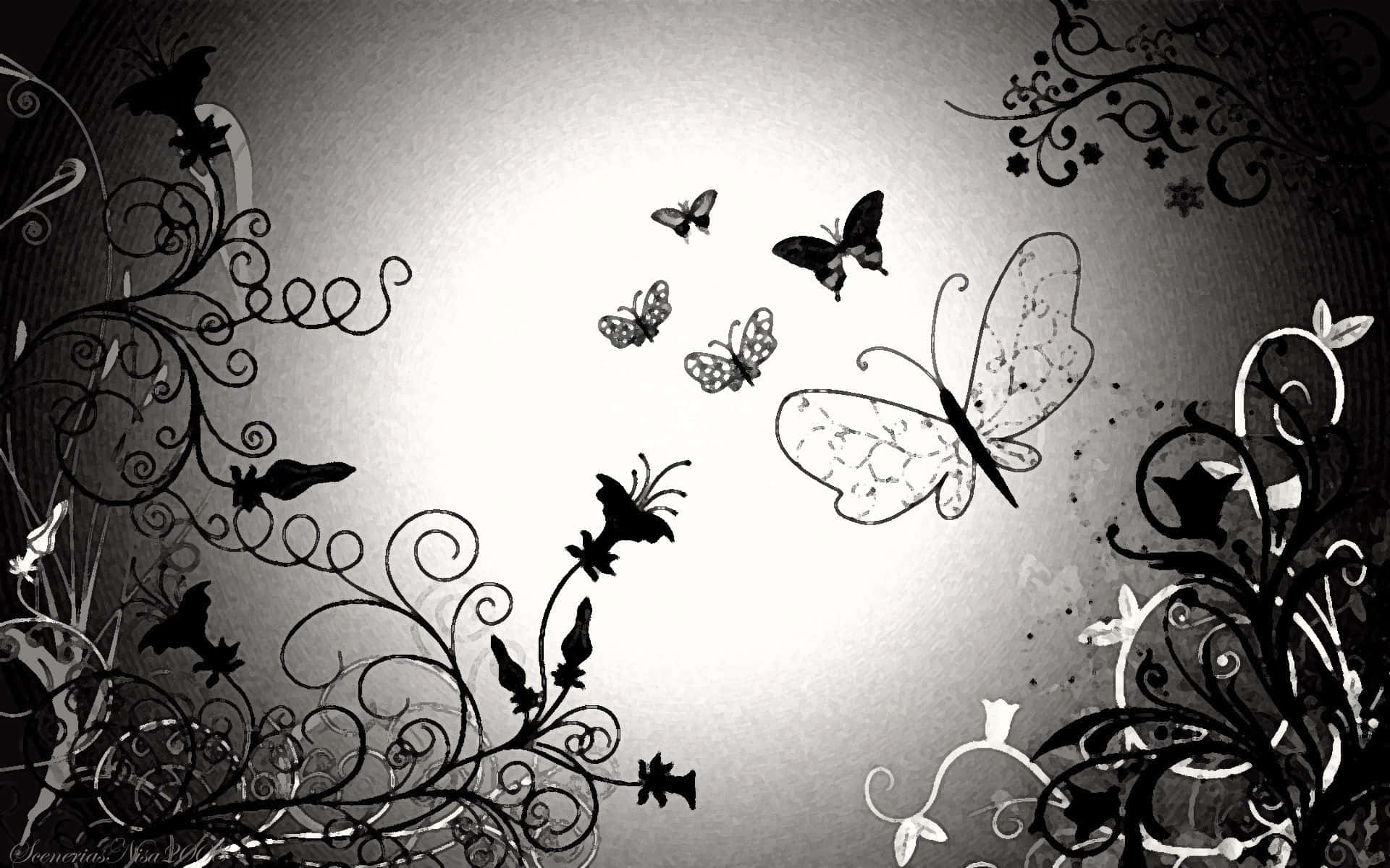 White Butterfly, black and white butterflies, ornate swirling vines, Full HD Desktop Wallpaper