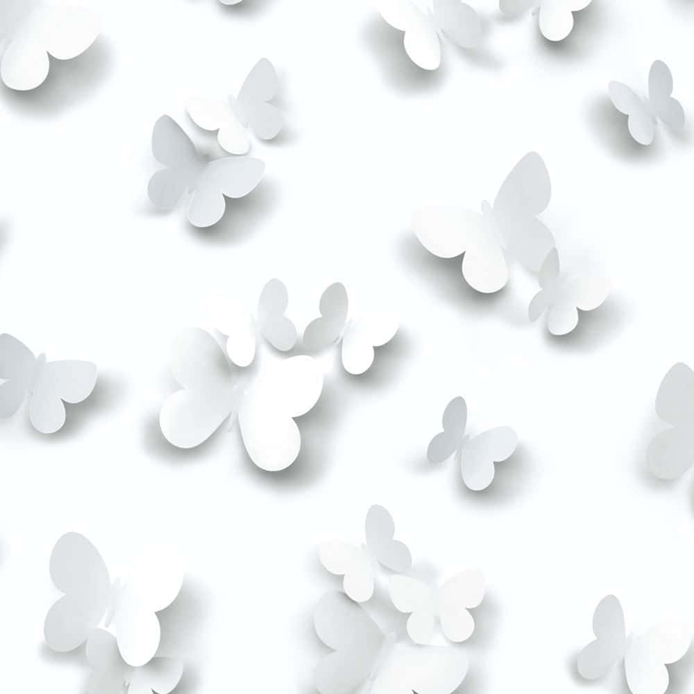 White Butterfly, bright white surface, minimalist 3d-rendered pattern, SD Desktop Wallpaper