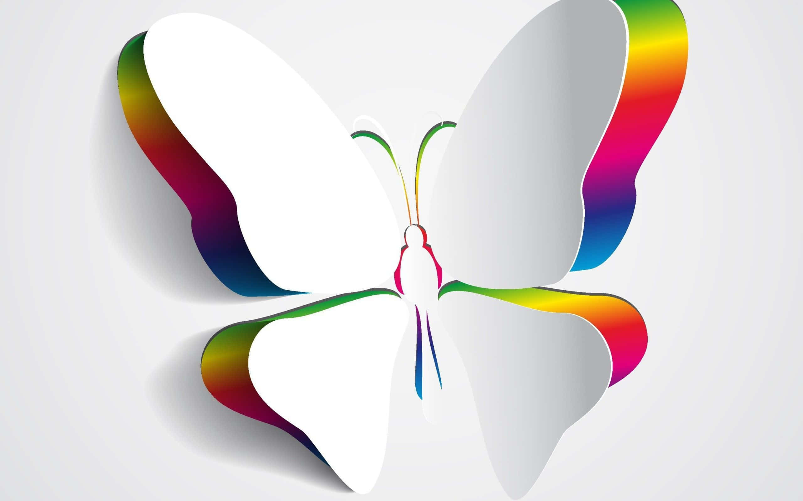 White Butterfly, rainbow-colored wing edges, sun, 2K Desktop Wallpaper