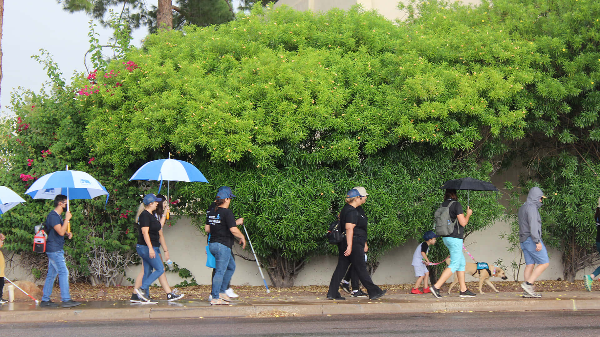White Cane Safety Day, sidewalk, blue umbrellas, Full HD Desktop Wallpaper